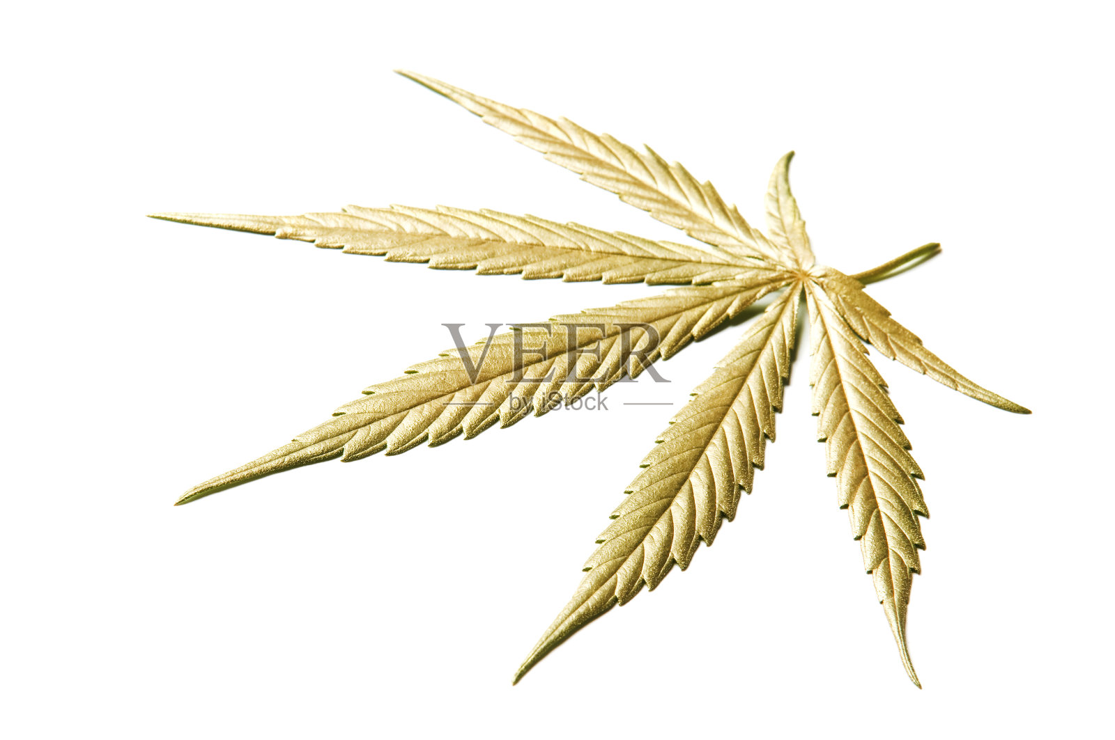 黄金麻(大麻)照片摄影图片