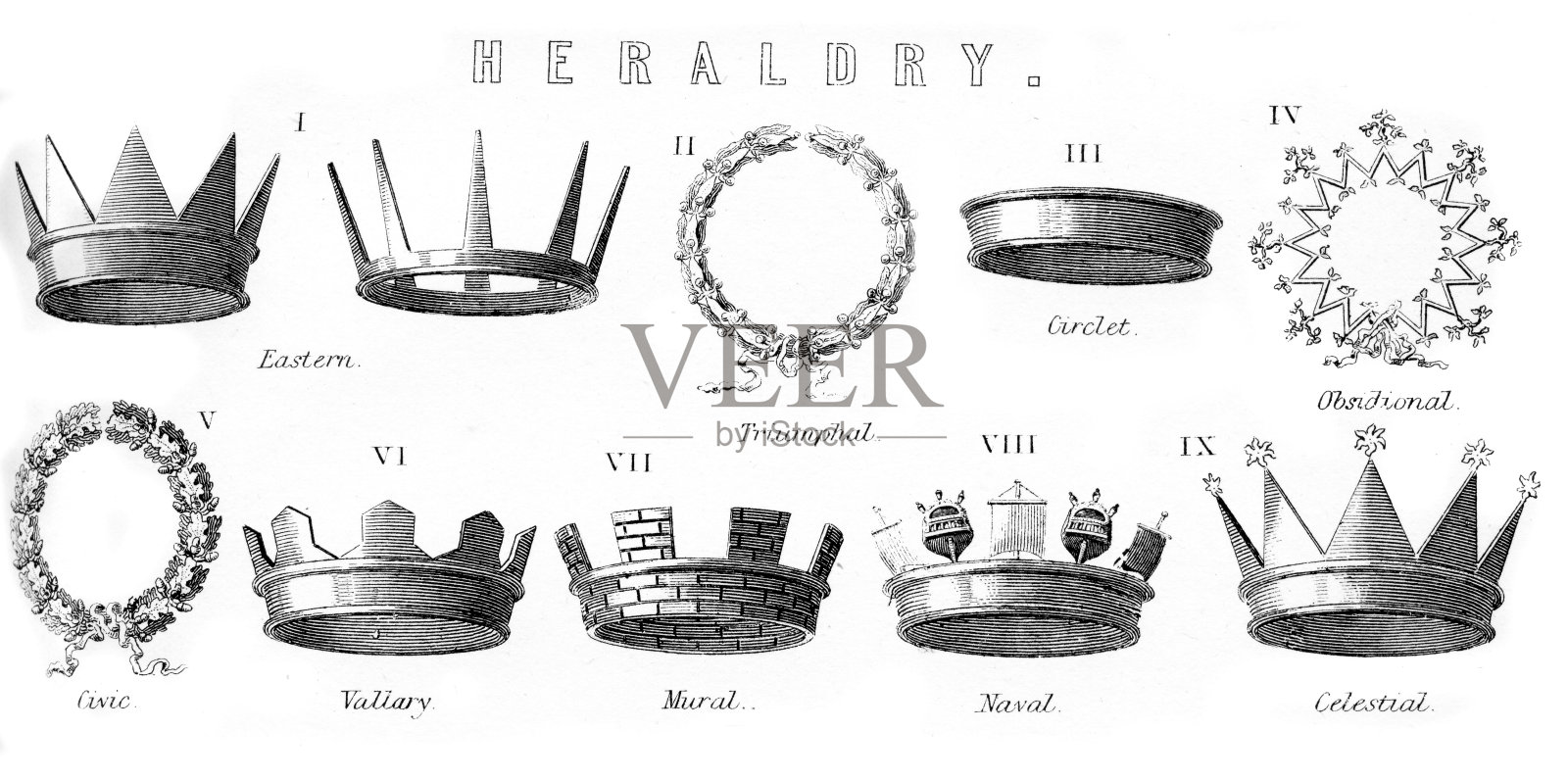 纹章冠插画图片素材
