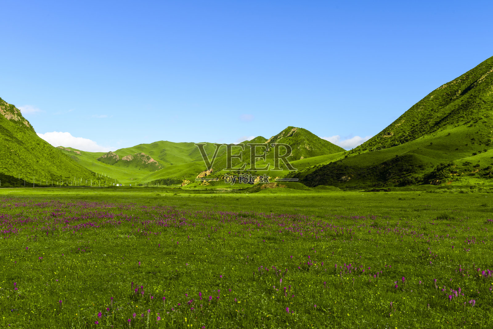 西藏的天际线、山丘和草地照片摄影图片
