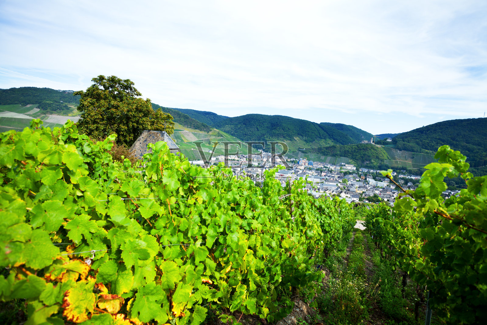 盖瑟高原上的温度计照片摄影图片