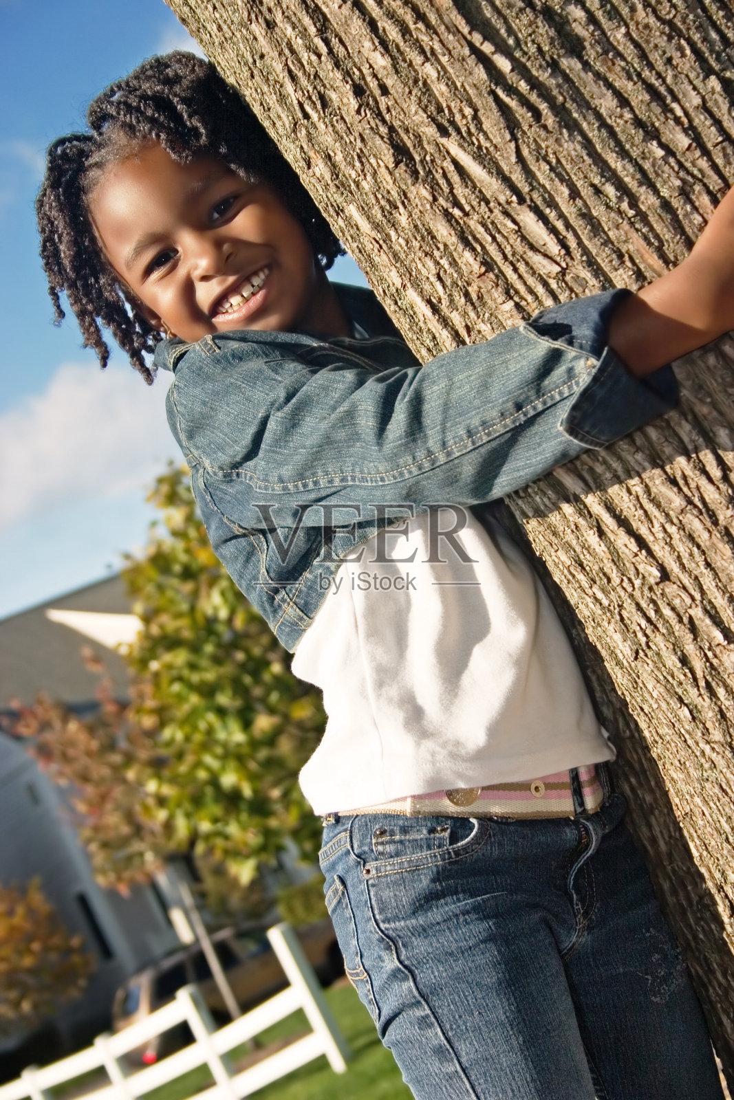 树Hugger的照片摄影图片