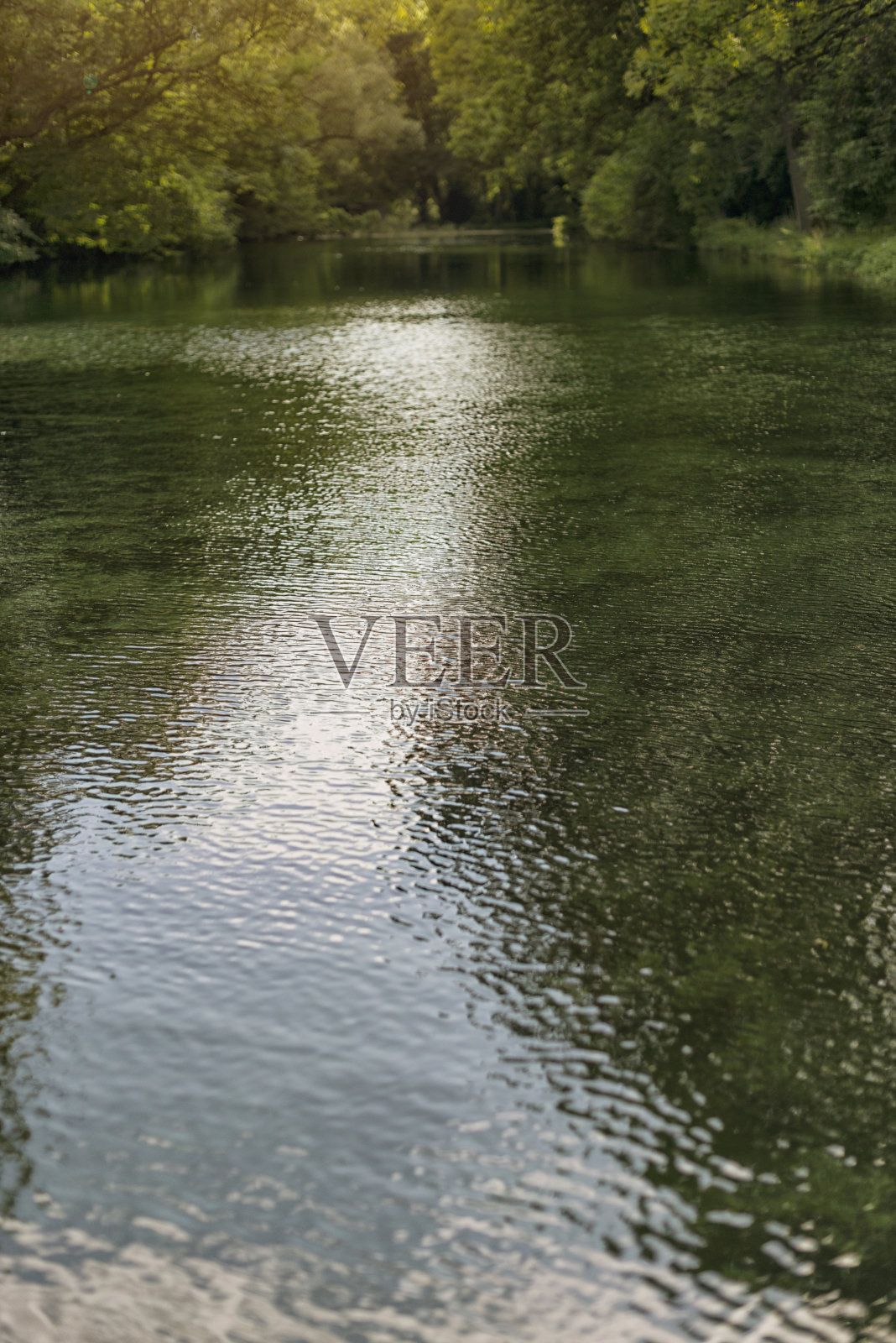 森林中的湖泊照片摄影图片