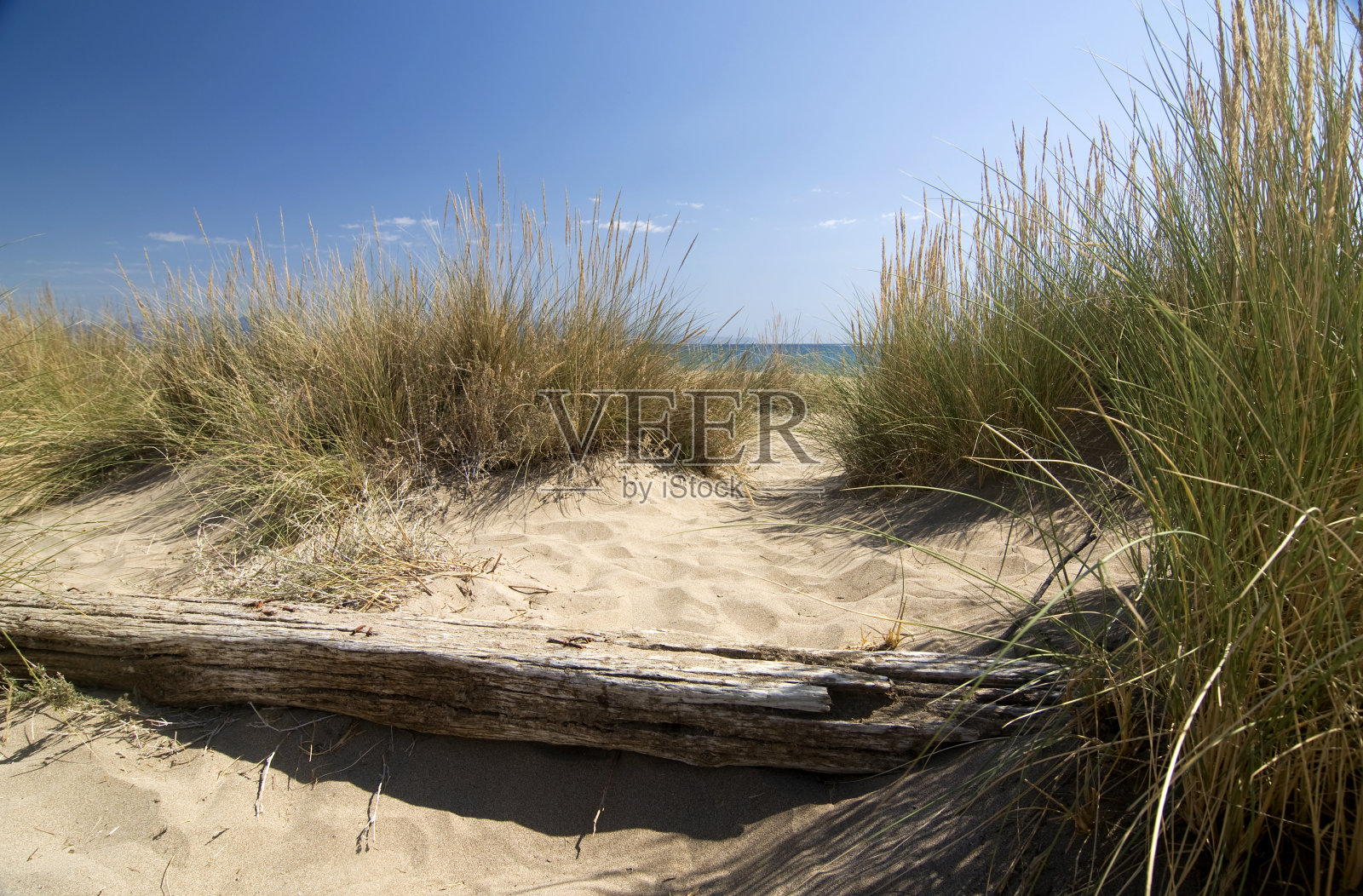 海边的草,积云和蓝天照片摄影图片