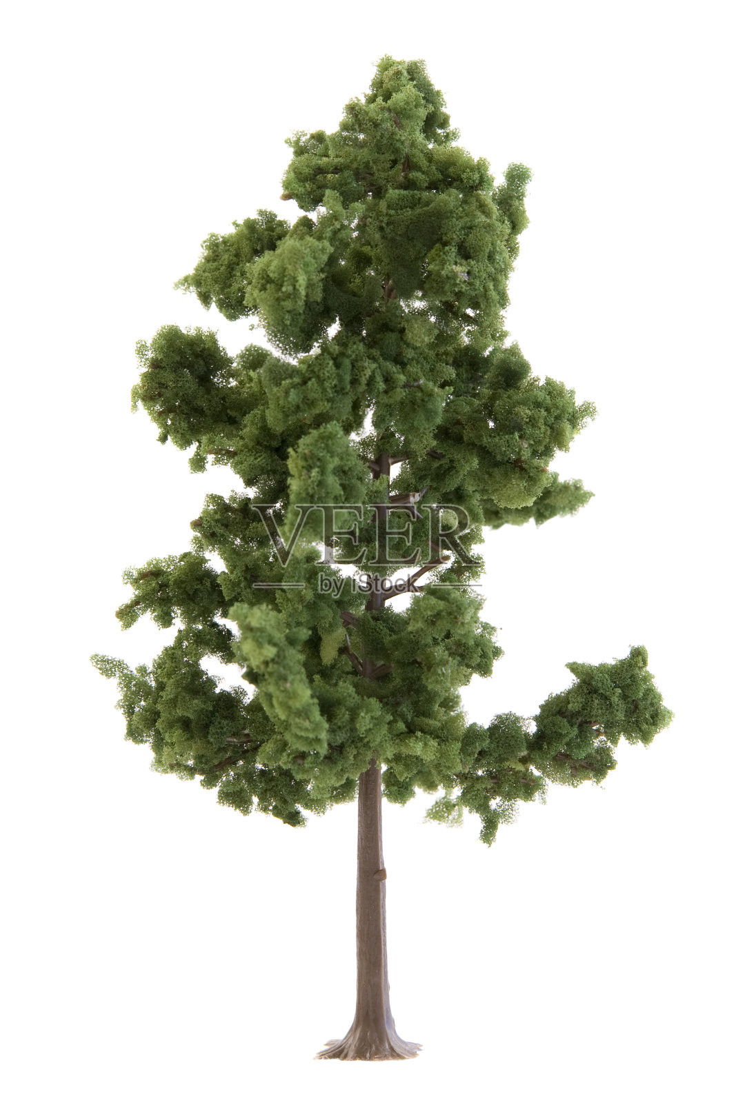 树照片摄影图片