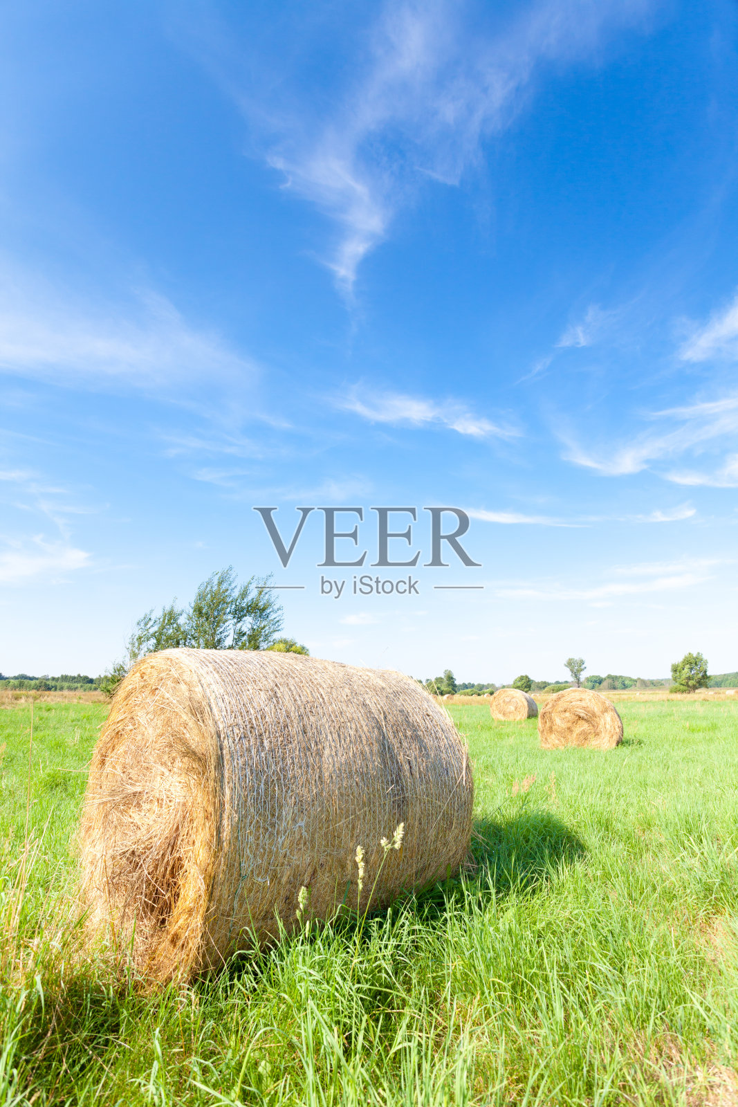 有bales照片摄影图片