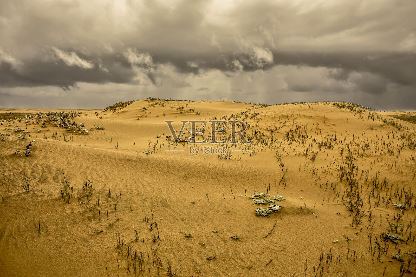 Isimangaliso海岸沙丘照片摄影图片