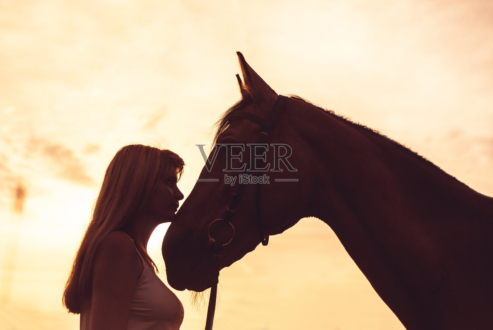有一匹马的年轻女子照片摄影图片