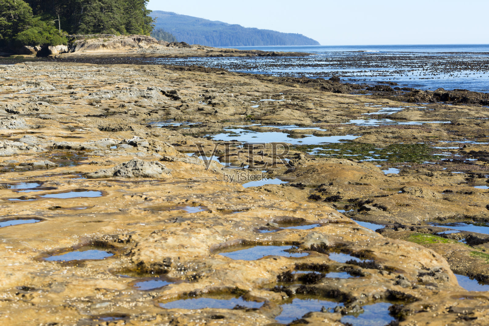 潮汐池照片摄影图片