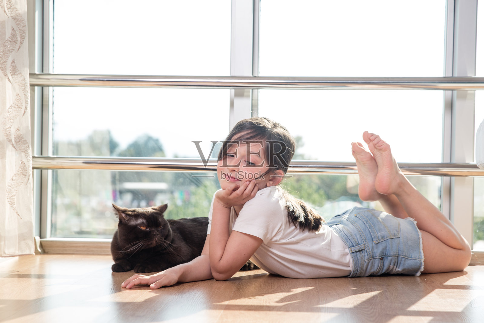 小女孩在和她的猫玩照片摄影图片