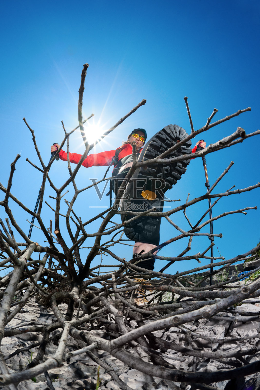 踩在树枝上照片摄影图片