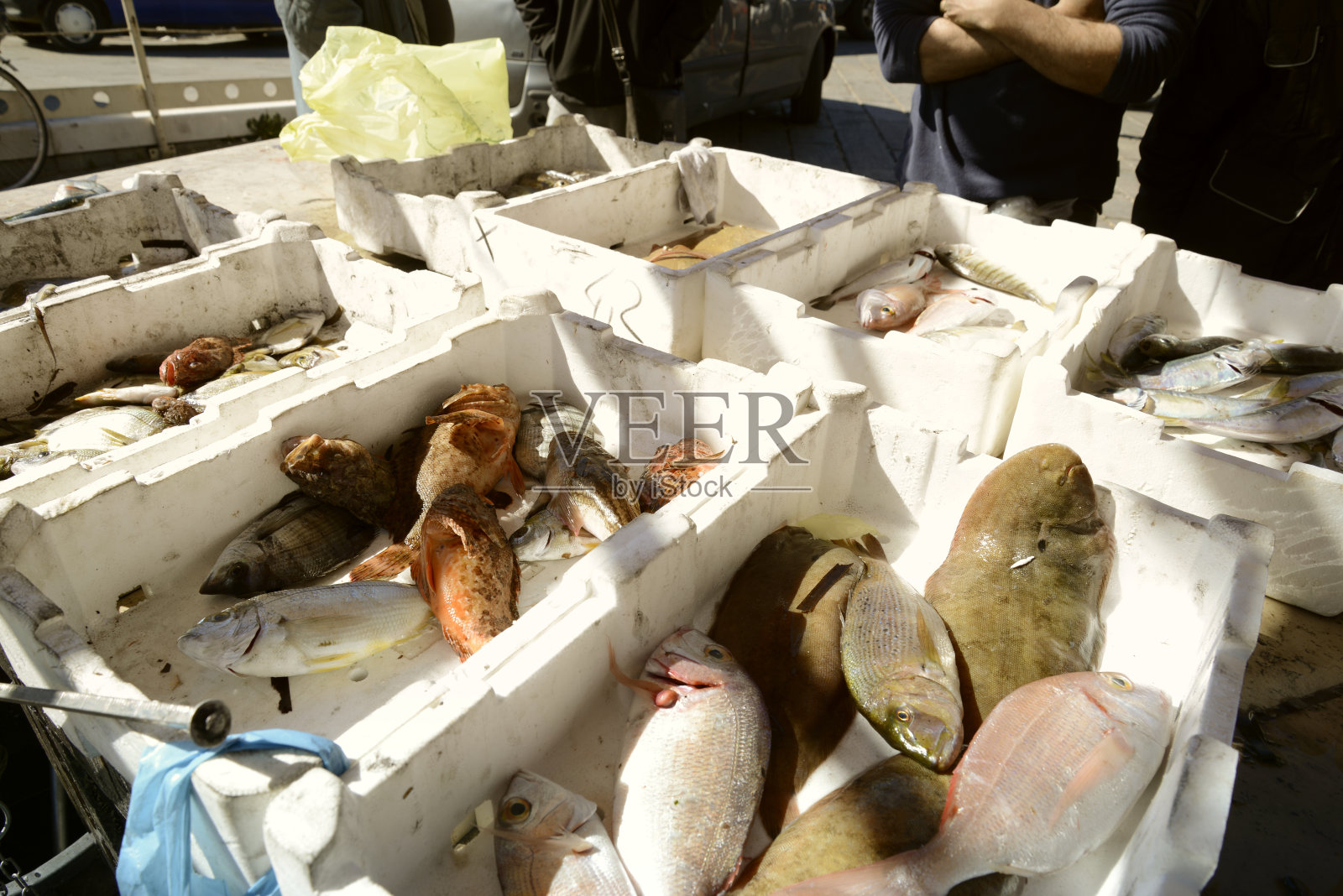 鱼市场户外照片摄影图片