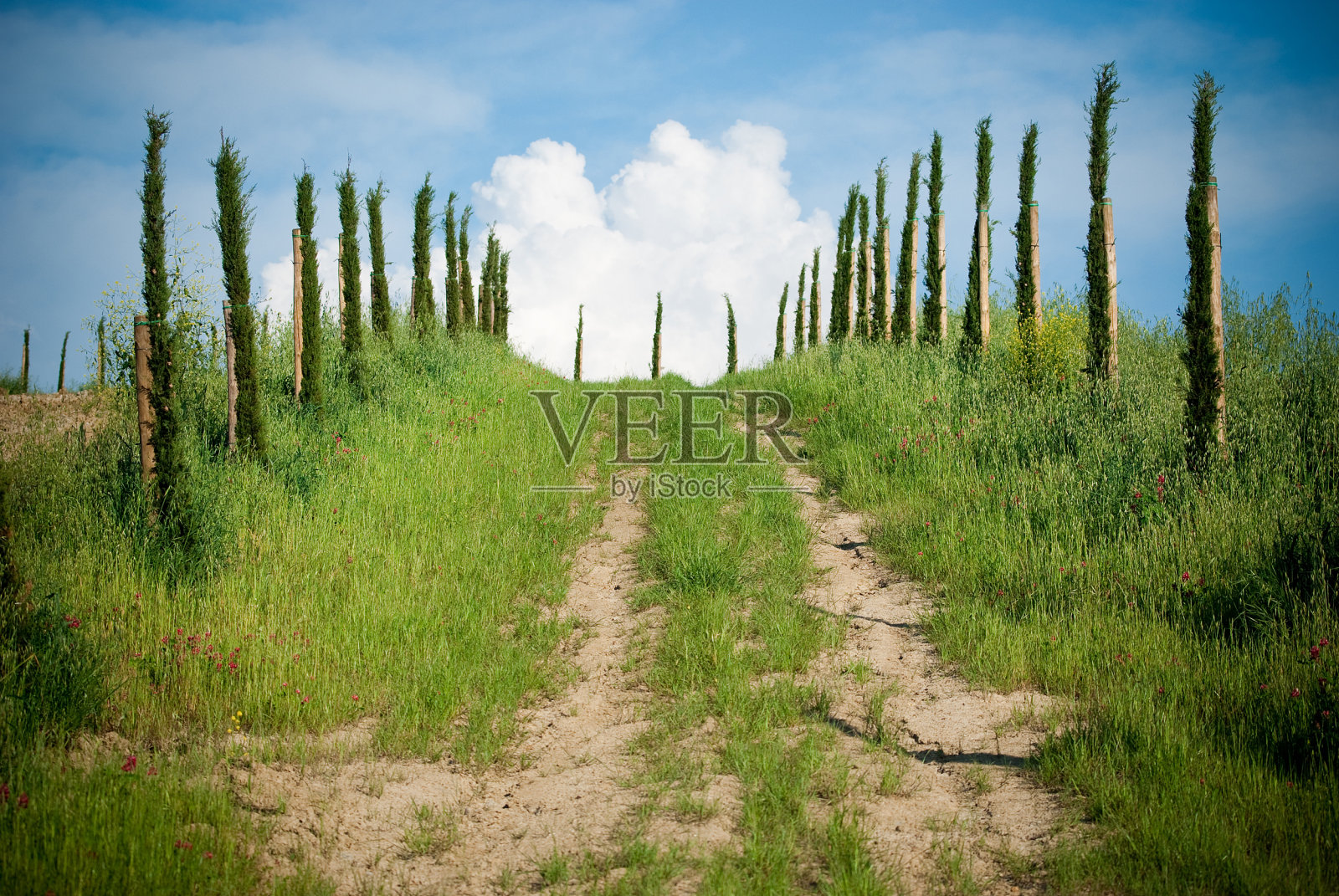 道路进入绿色的乡村,在背景的天空照片摄影图片