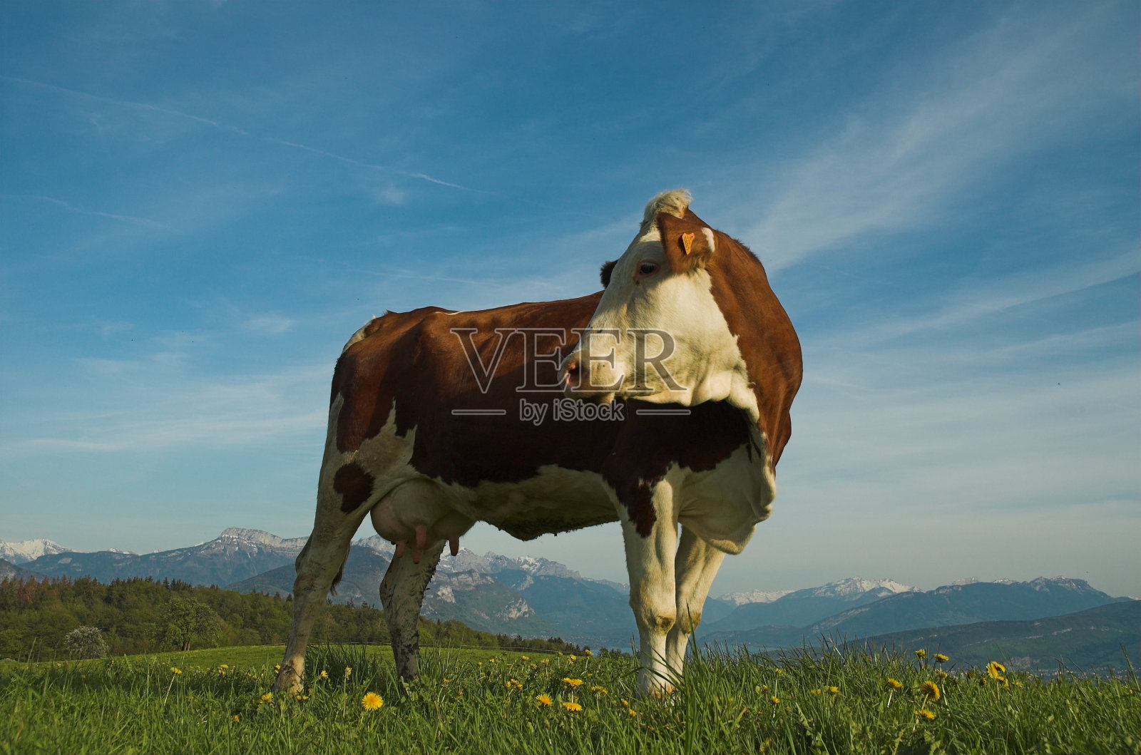 从侧面看照片摄影图片