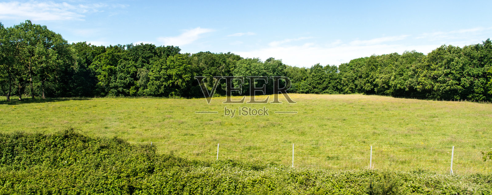 绿地照片摄影图片