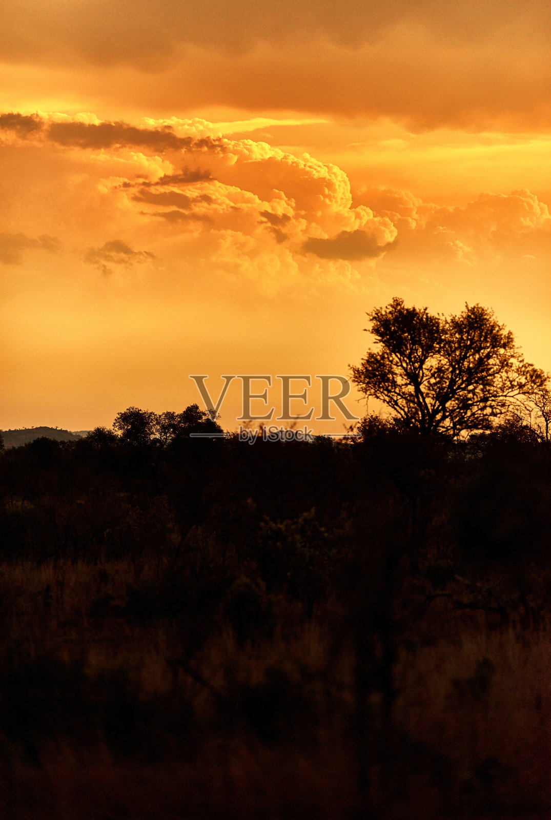 太阳正在非洲平原上落下照片摄影图片