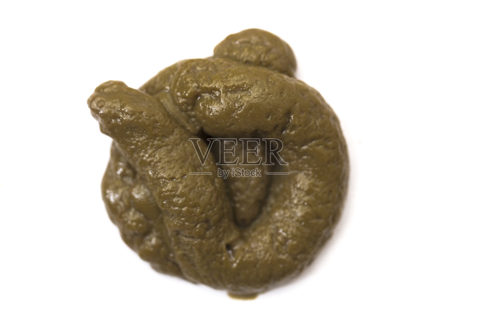 狗屎照片摄影图片