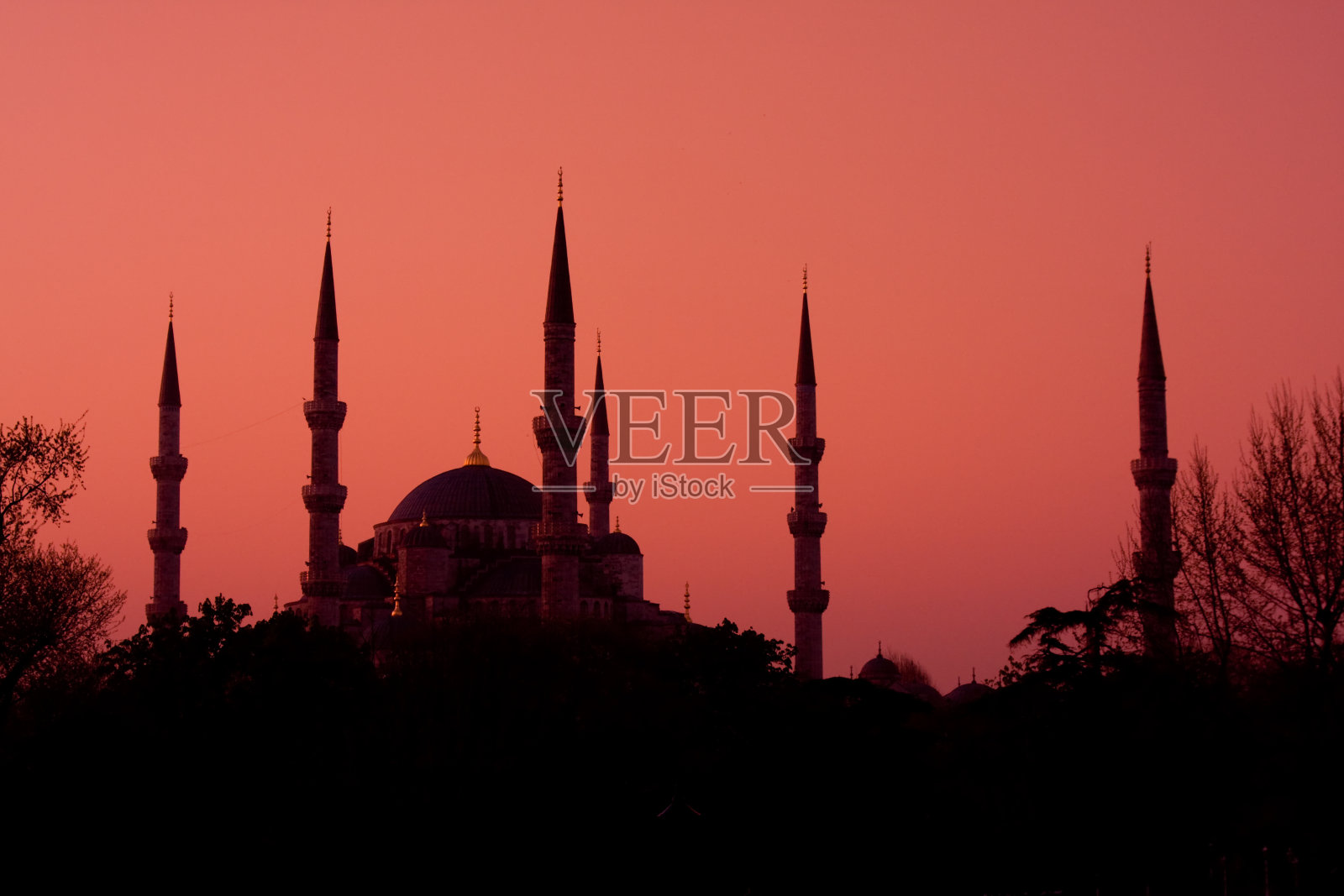 黎明时的蓝色清真寺照片摄影图片