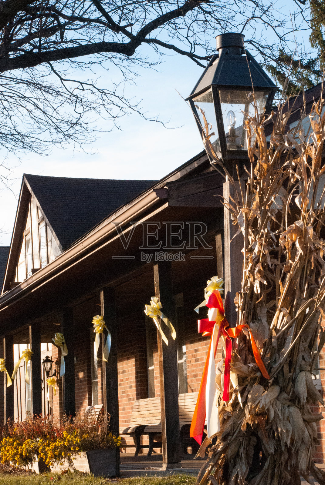 老建筑和万圣节展示爱荷华州阿玛纳照片摄影图片