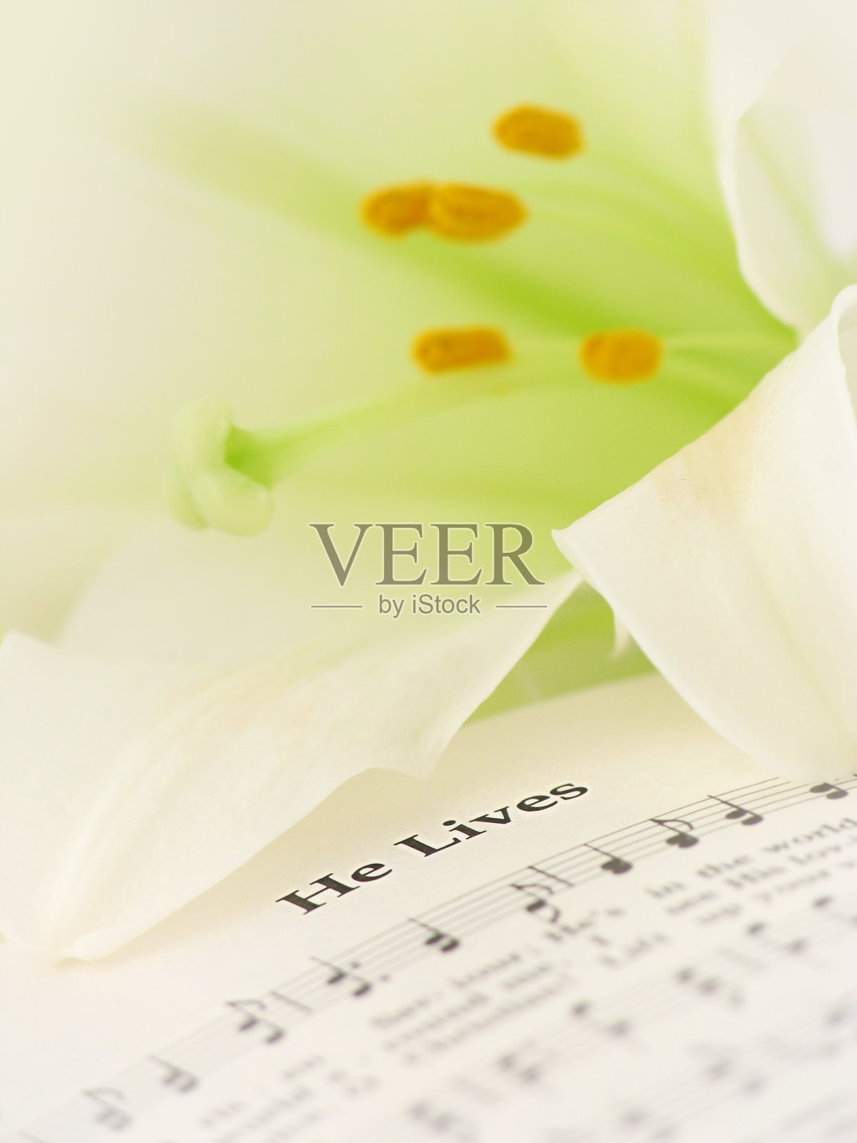 复活节赞美诗-他还活着照片摄影图片