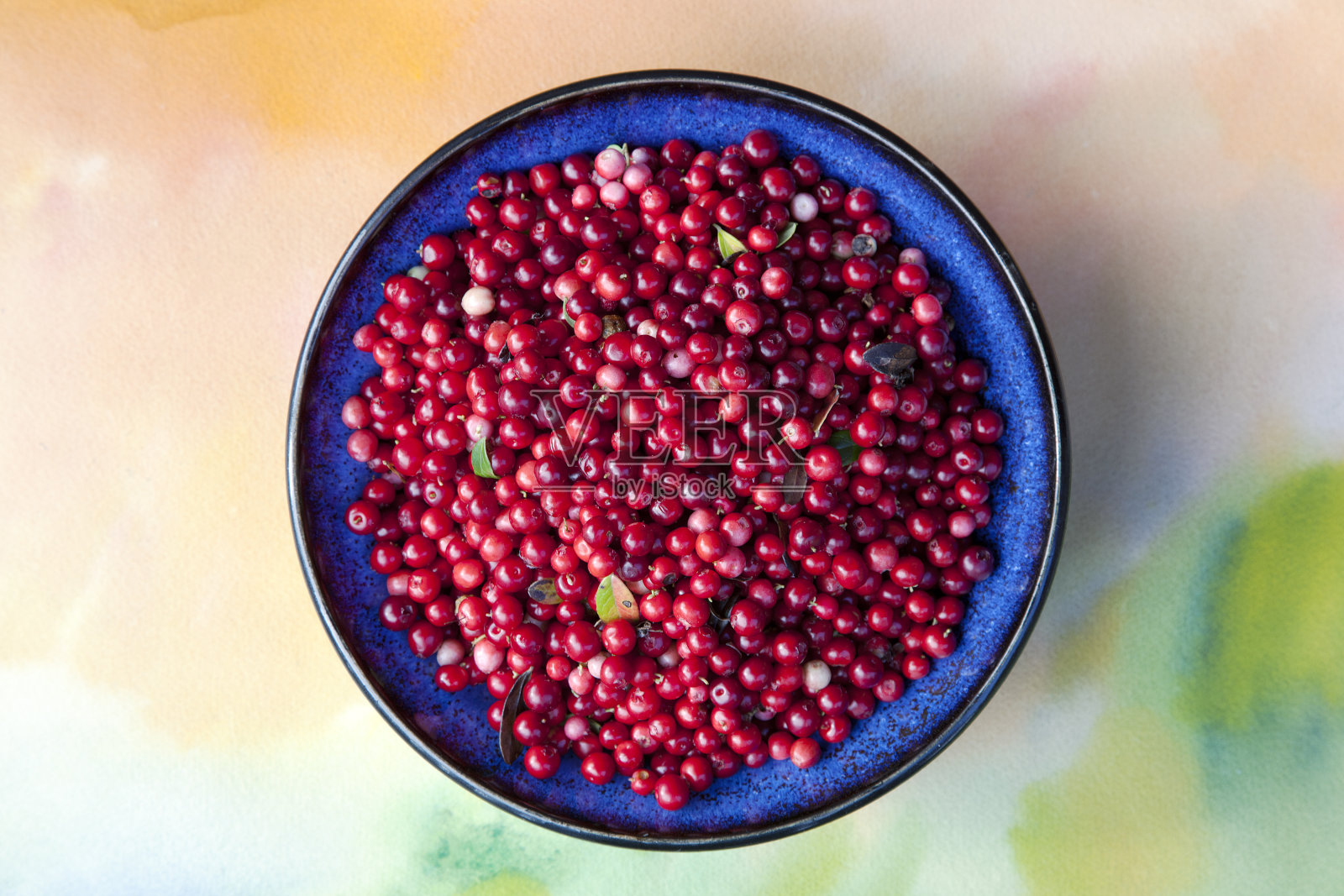 蔓越莓。照片摄影图片