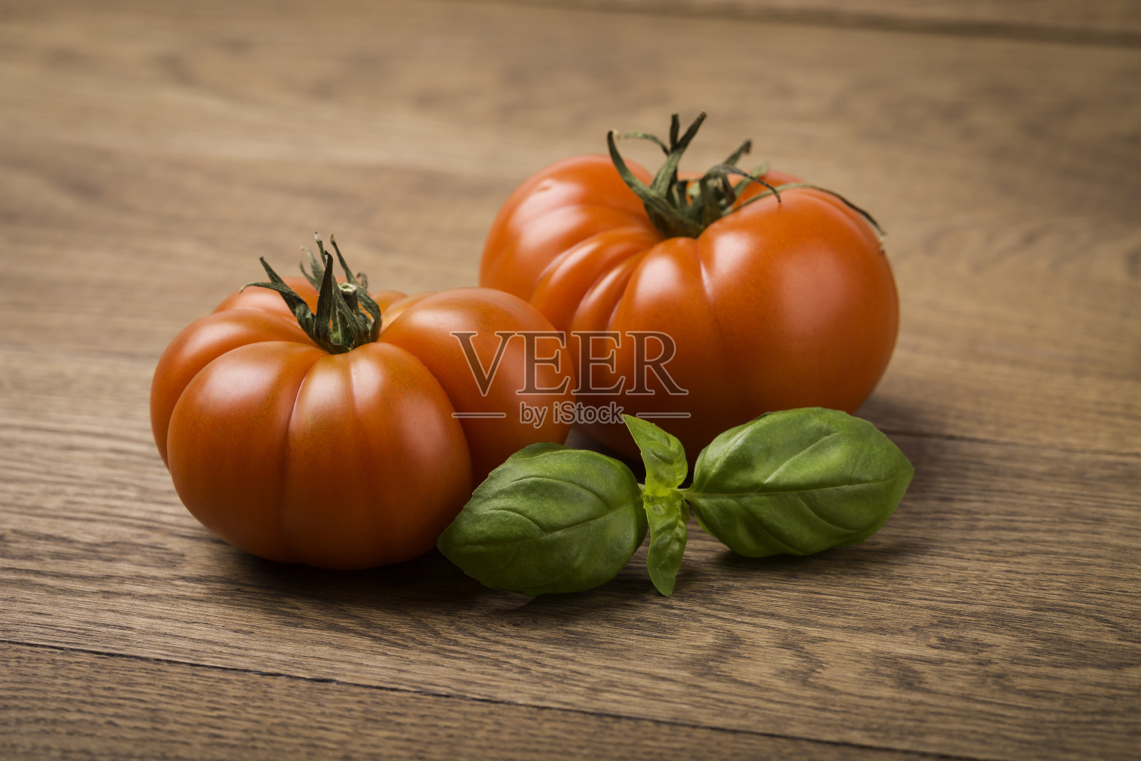 番茄和罗勒照片摄影图片