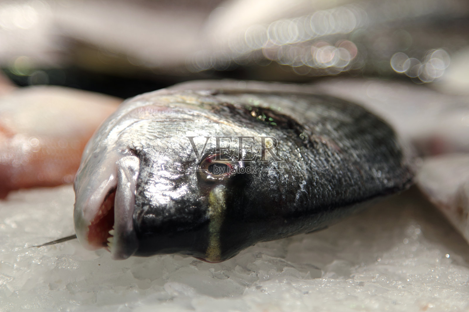 市场上的海鱼,在冰上照片摄影图片