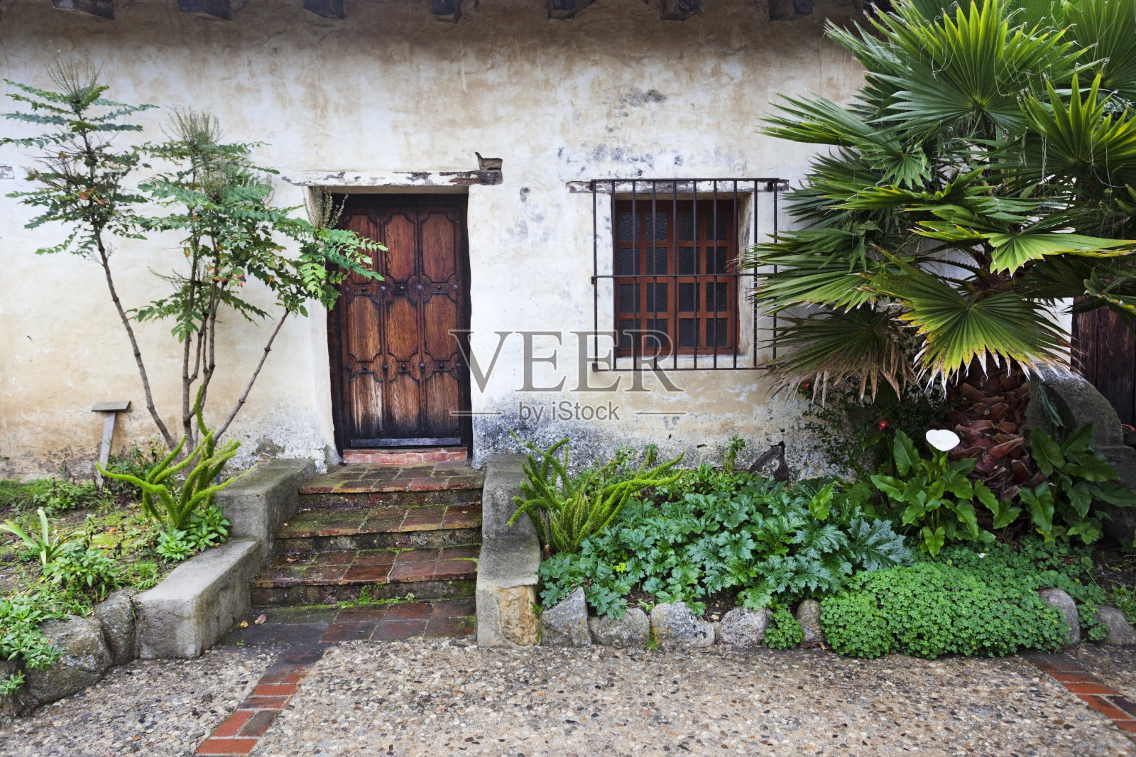 任务卡梅尔照片摄影图片