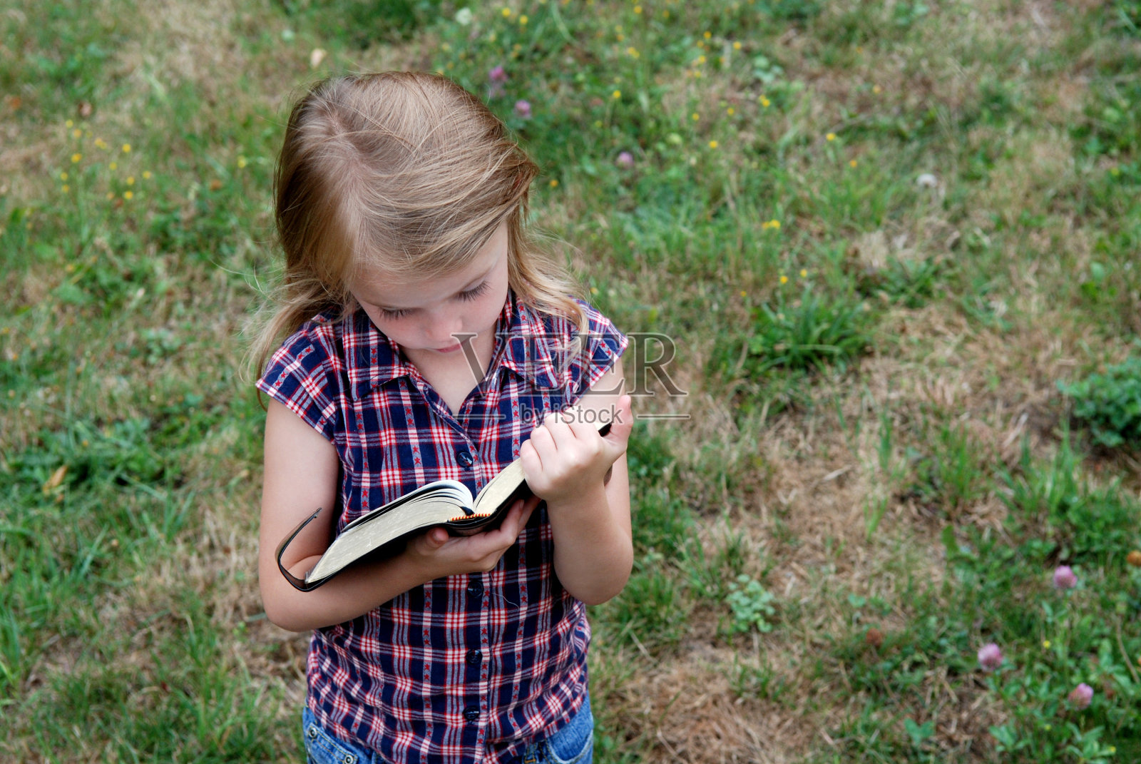 阅读照片摄影图片