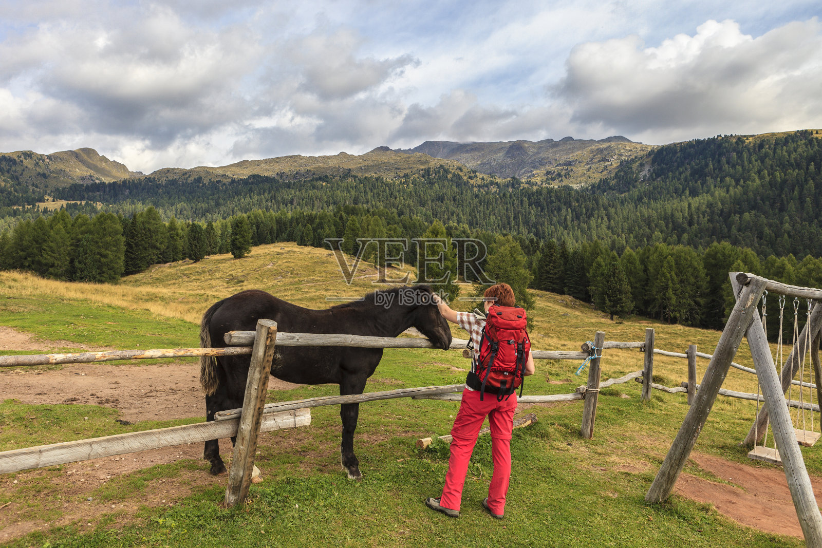 Paneveggio 森林,特伦蒂诺-上阿迪杰,意大利照片摄影图片