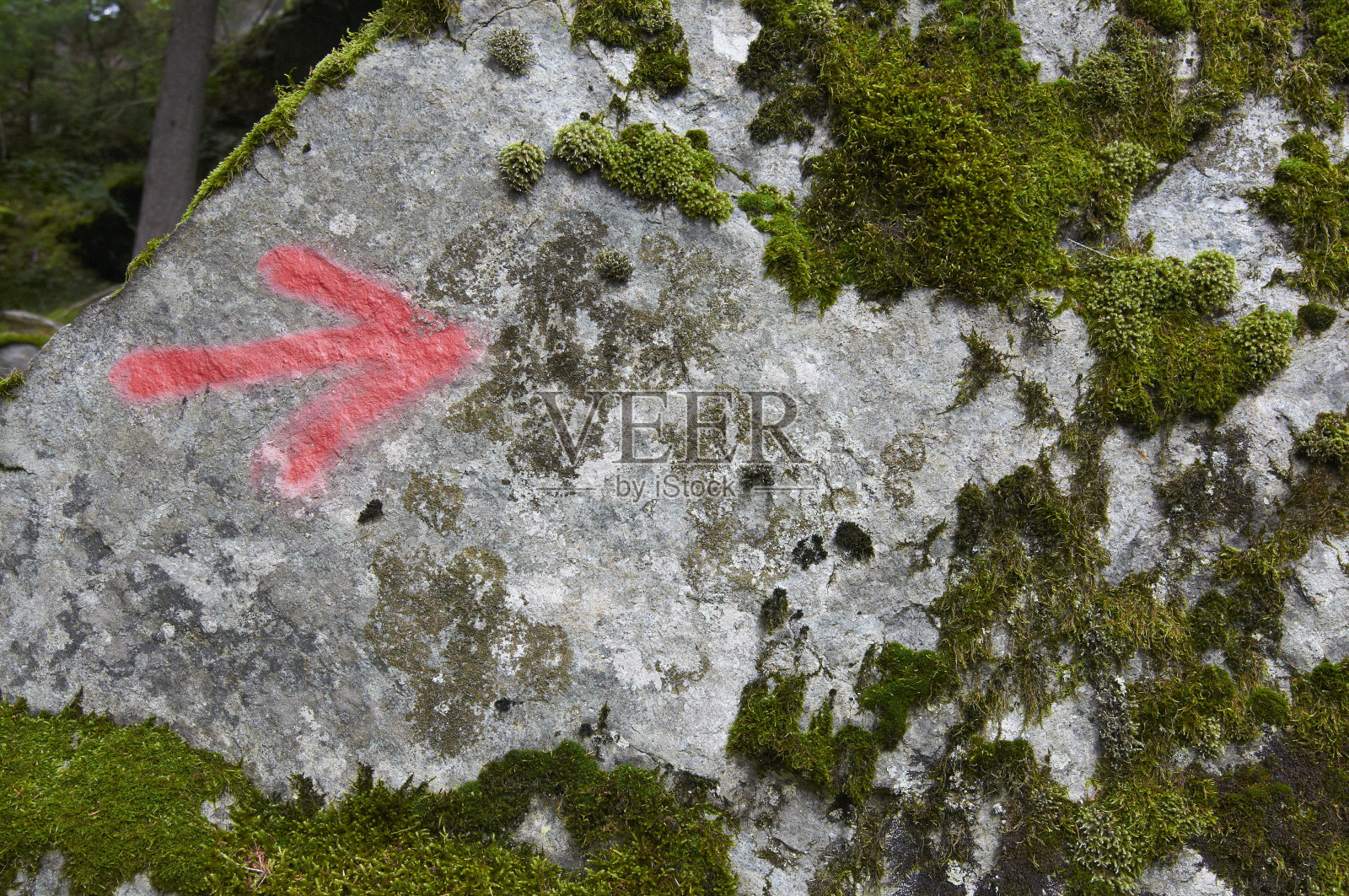 标记照片摄影图片
