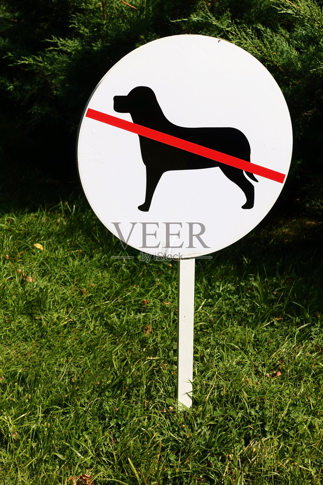 没有狗的迹象照片摄影图片