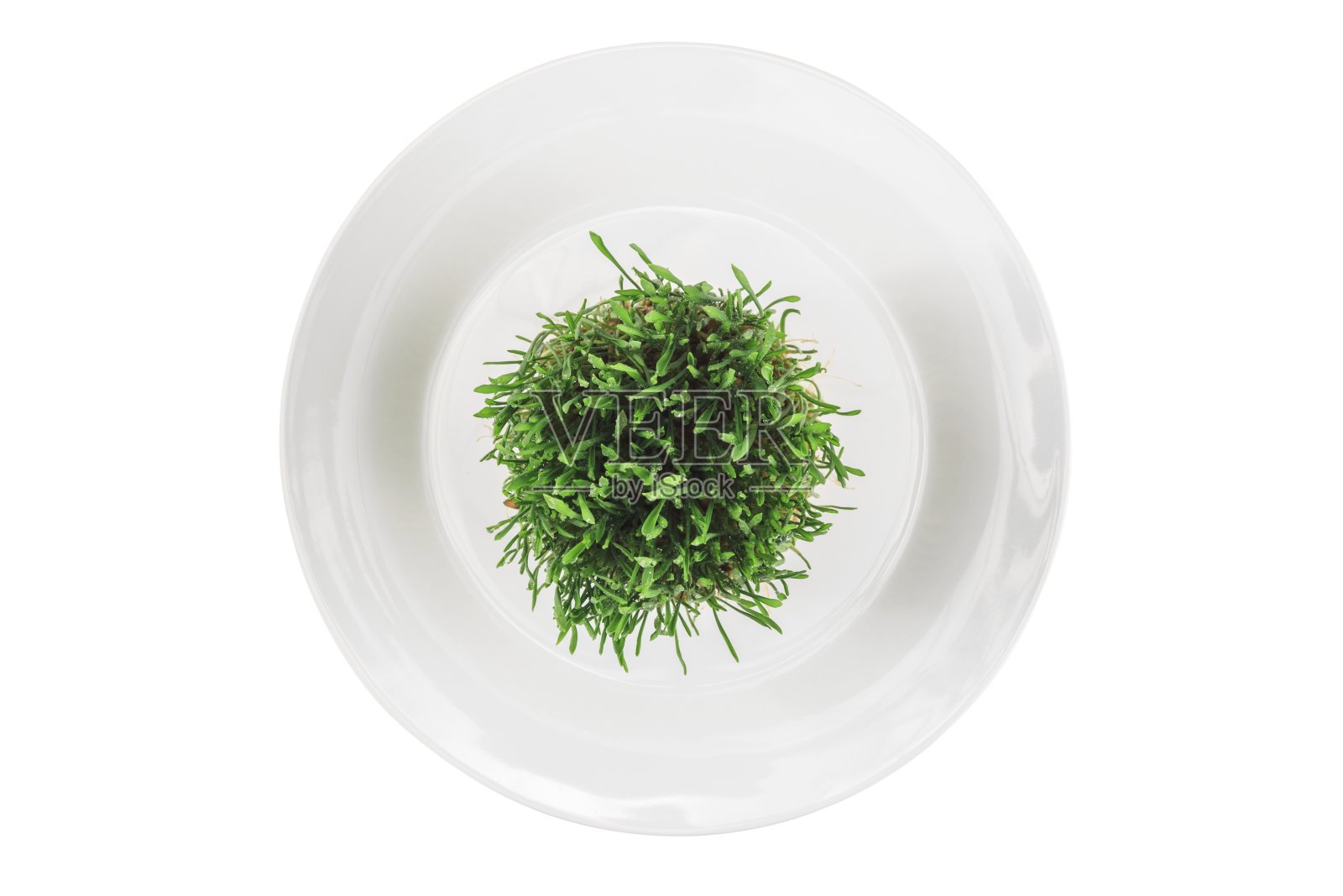 小麦照片摄影图片