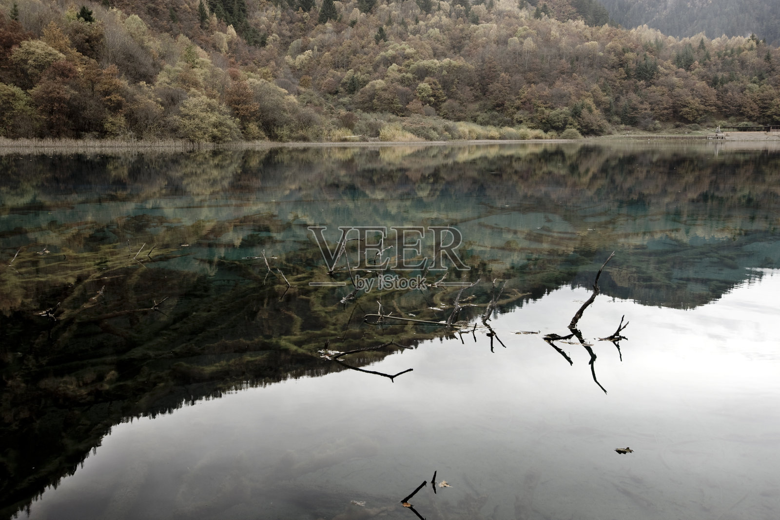 湖照片摄影图片