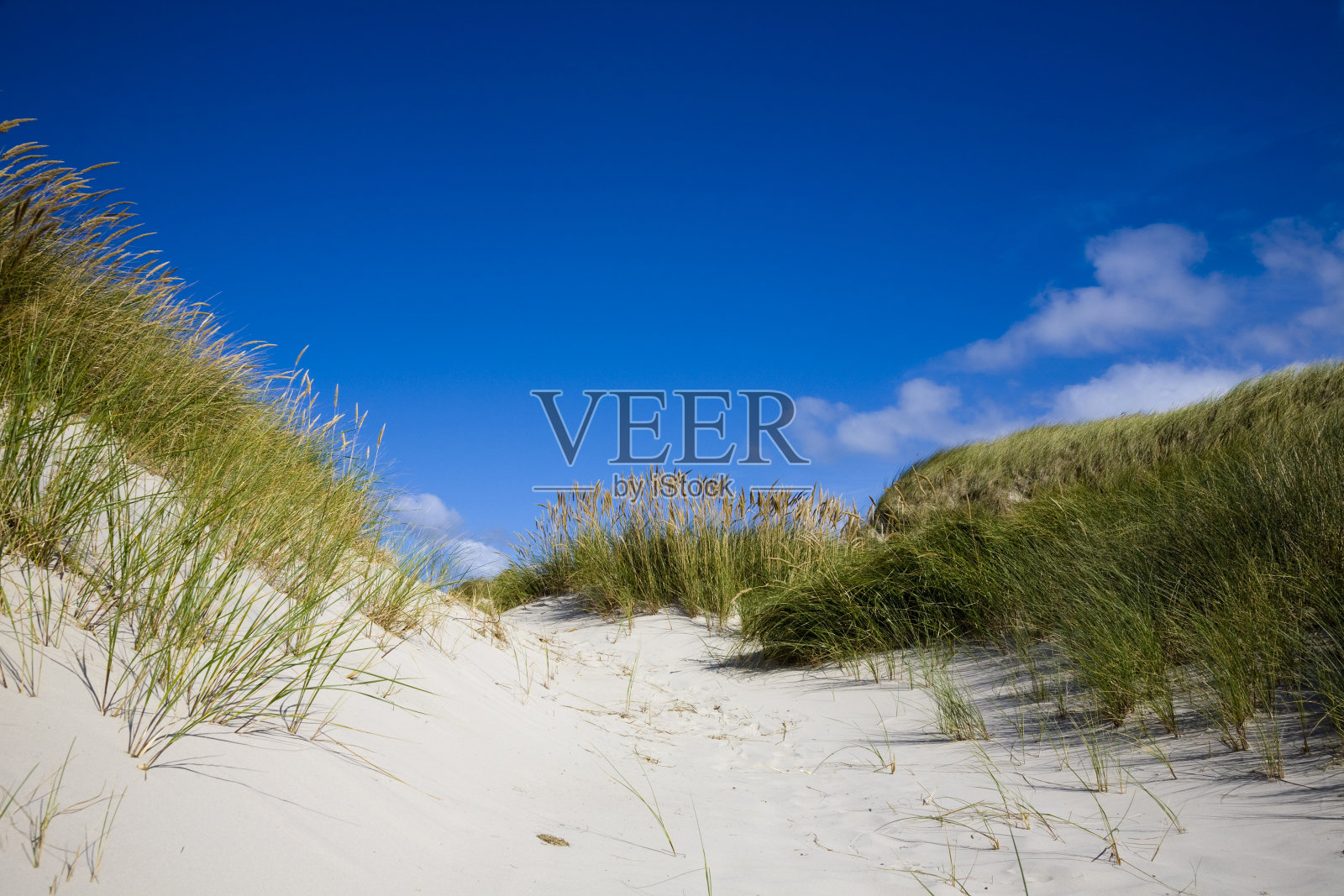 美丽的白沙照片摄影图片