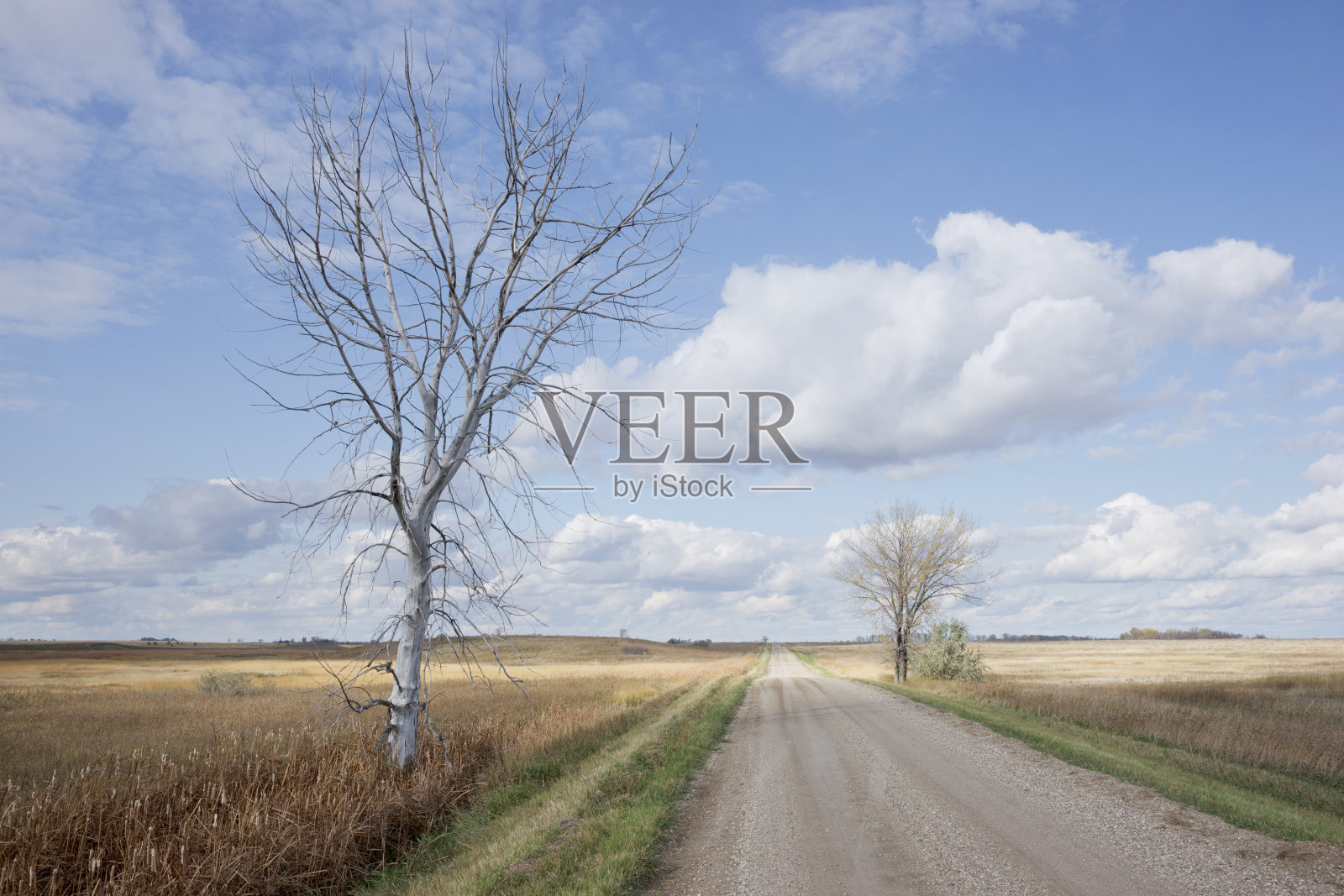 荒凉的乡间小路照片摄影图片