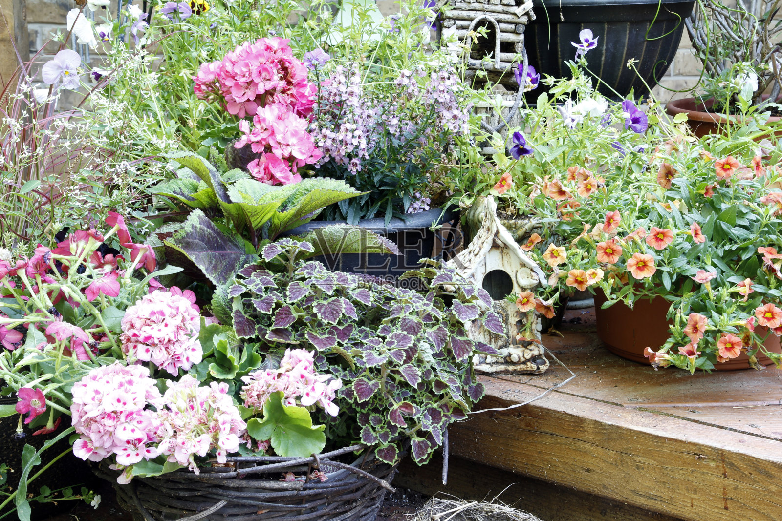 花园照片摄影图片