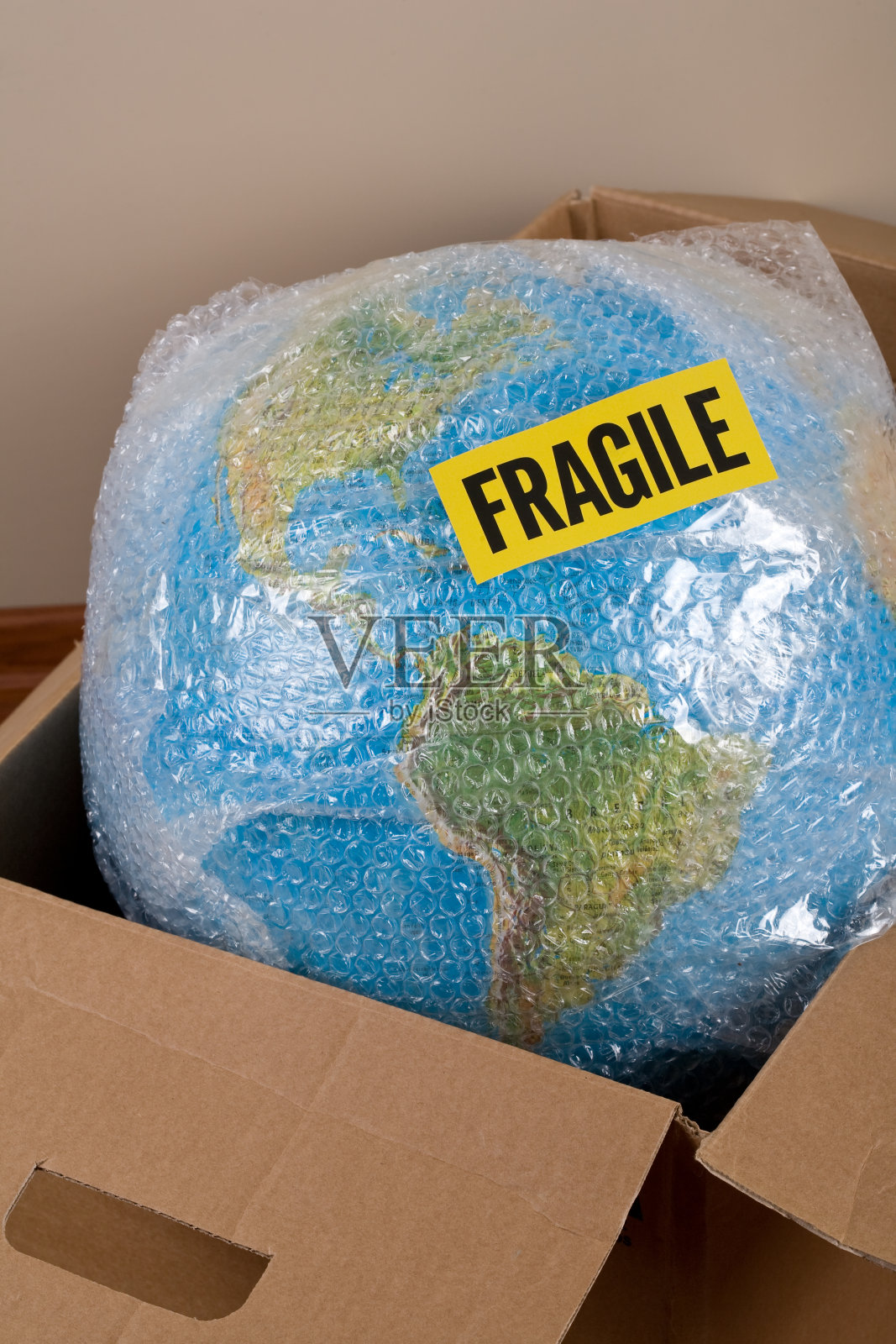 脆弱的照片摄影图片