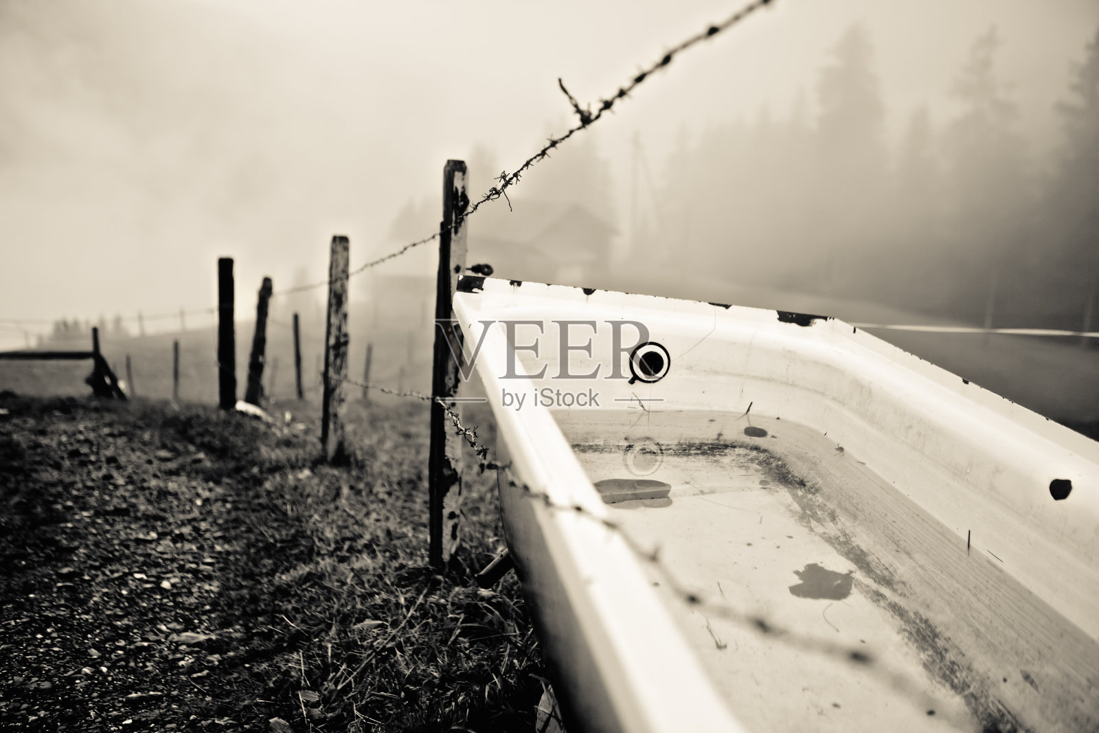 被遗忘的照片摄影图片