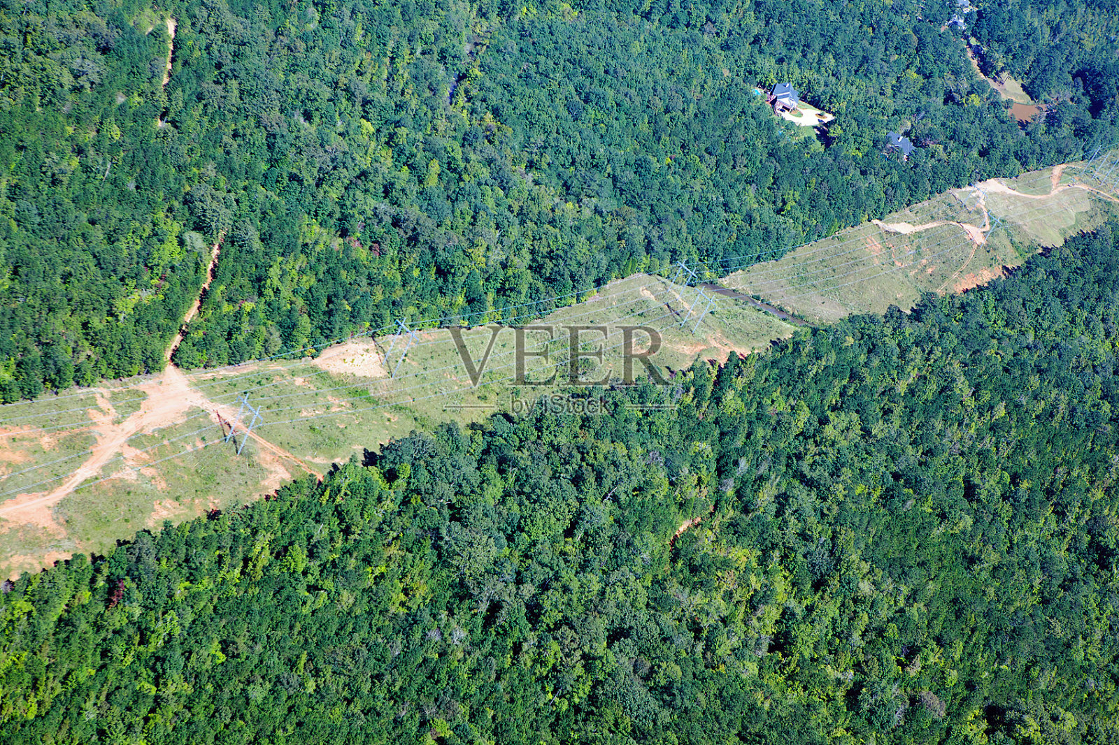 穿过森林的电线照片摄影图片