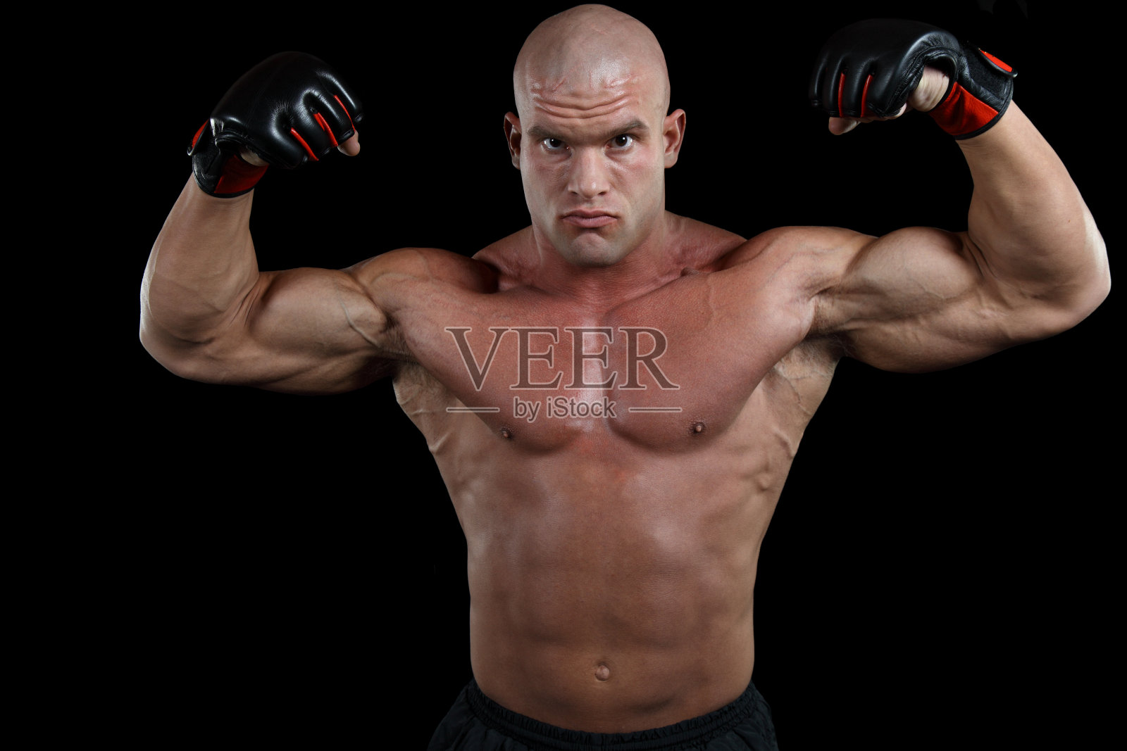 强大的mma战斗机肖像照片摄影图片