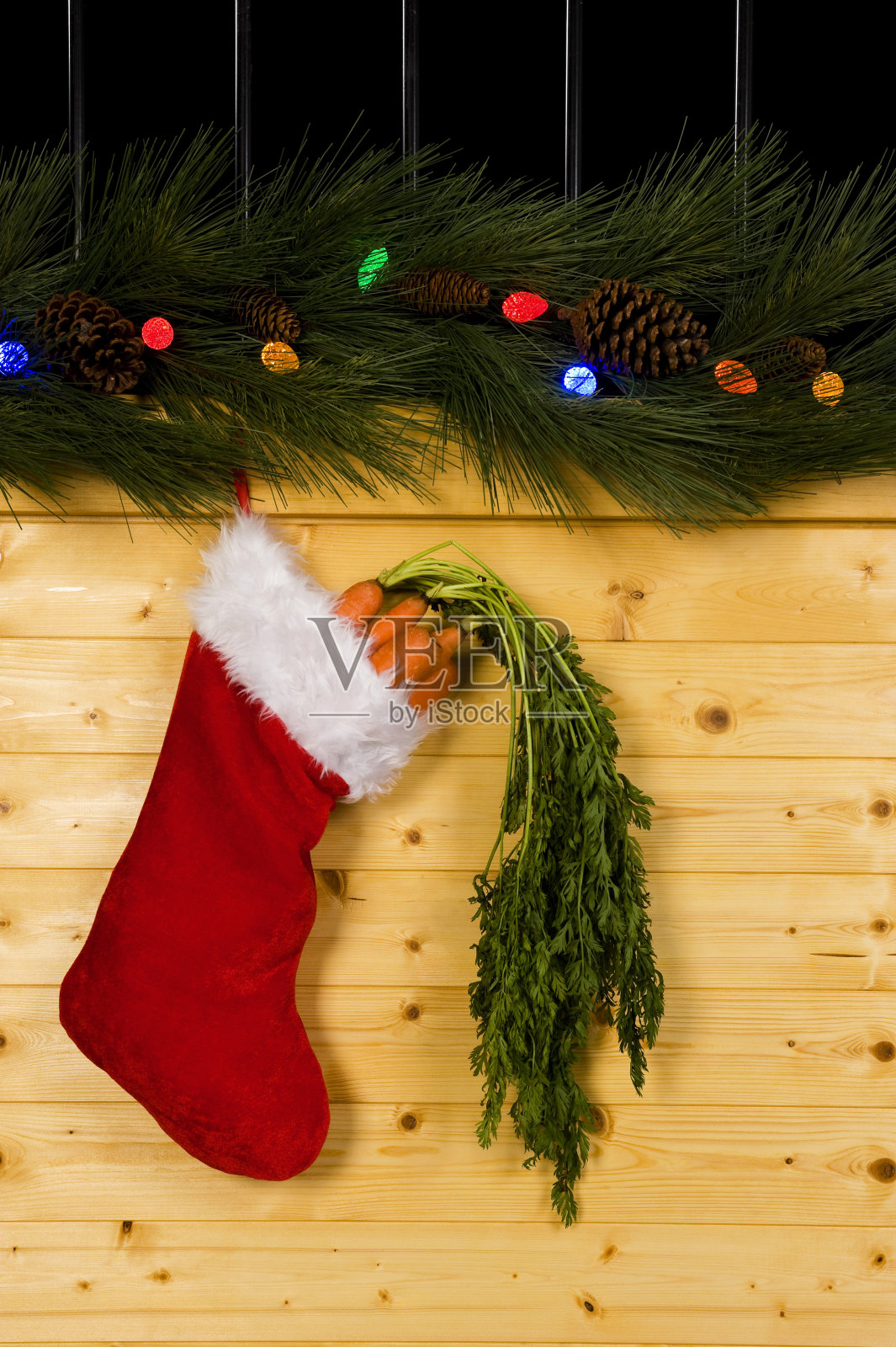 马圣诞-胡萝卜照片摄影图片