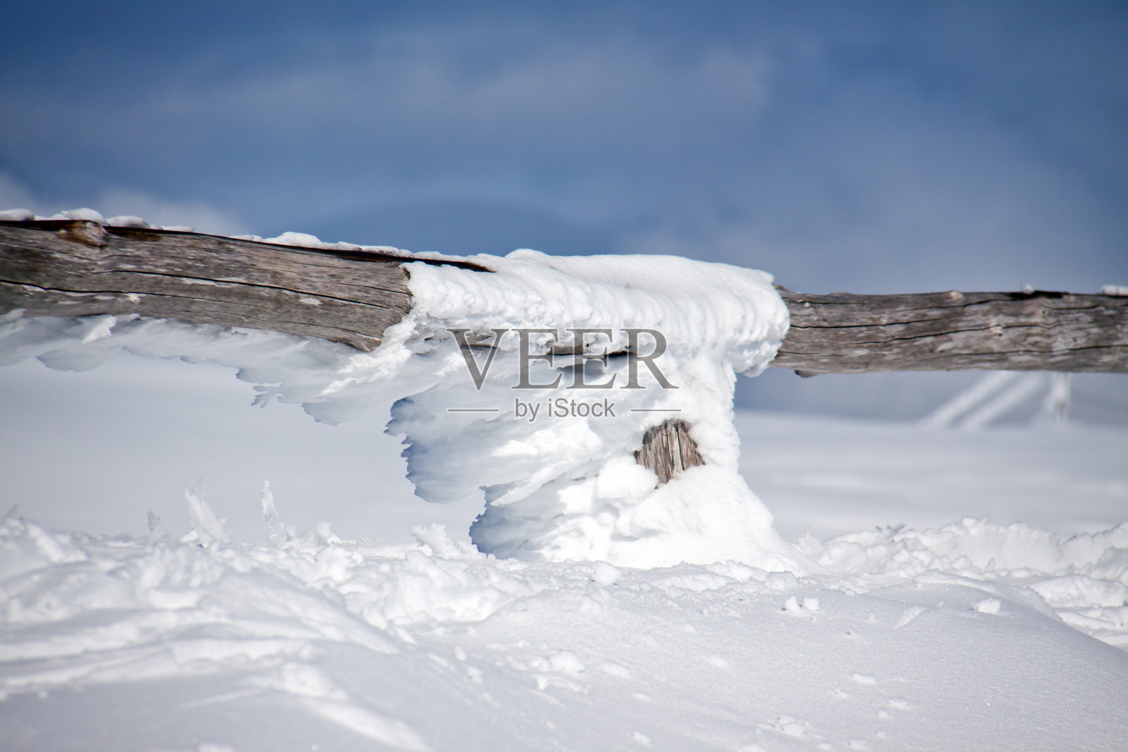 冬天照片摄影图片