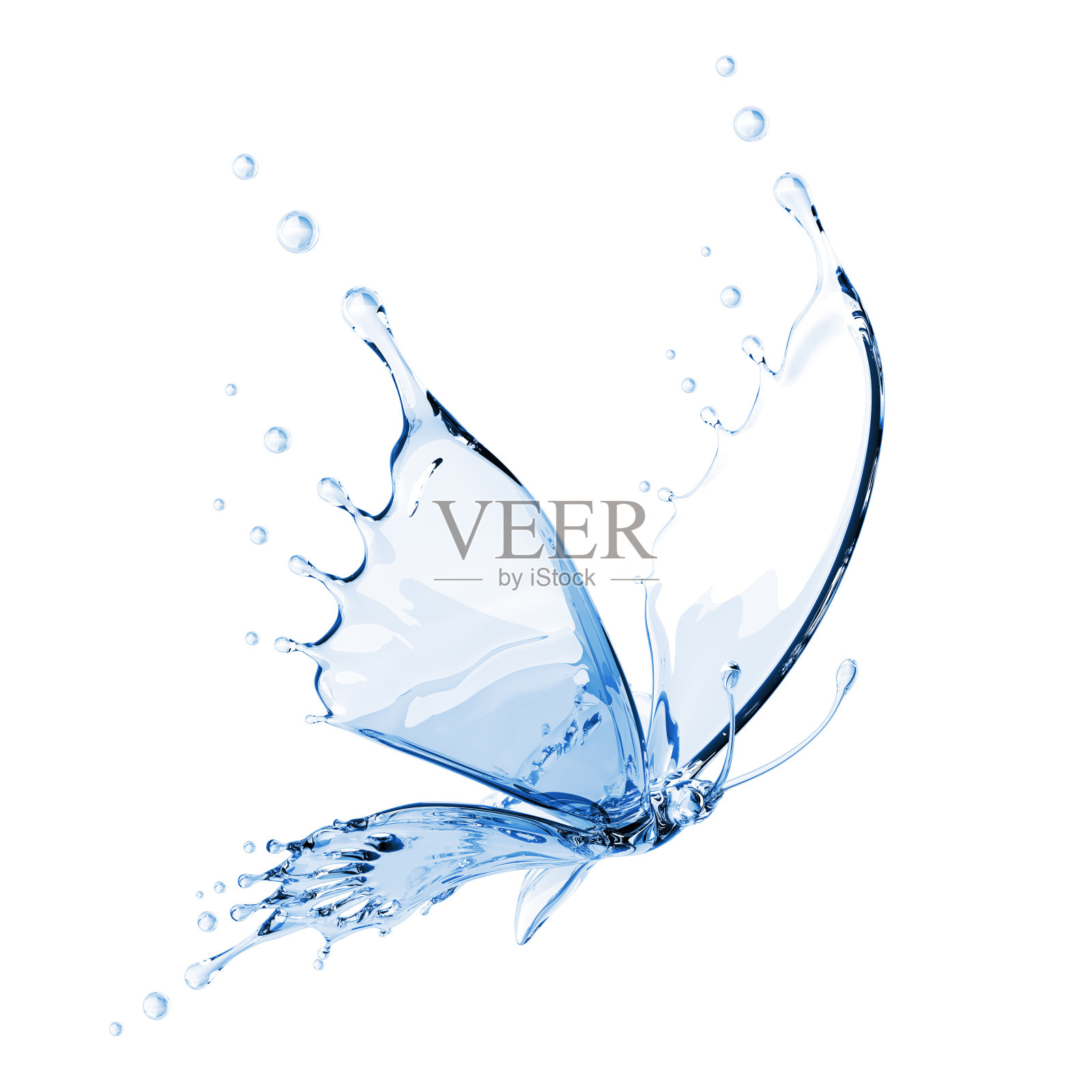 水蝴蝶照片摄影图片
