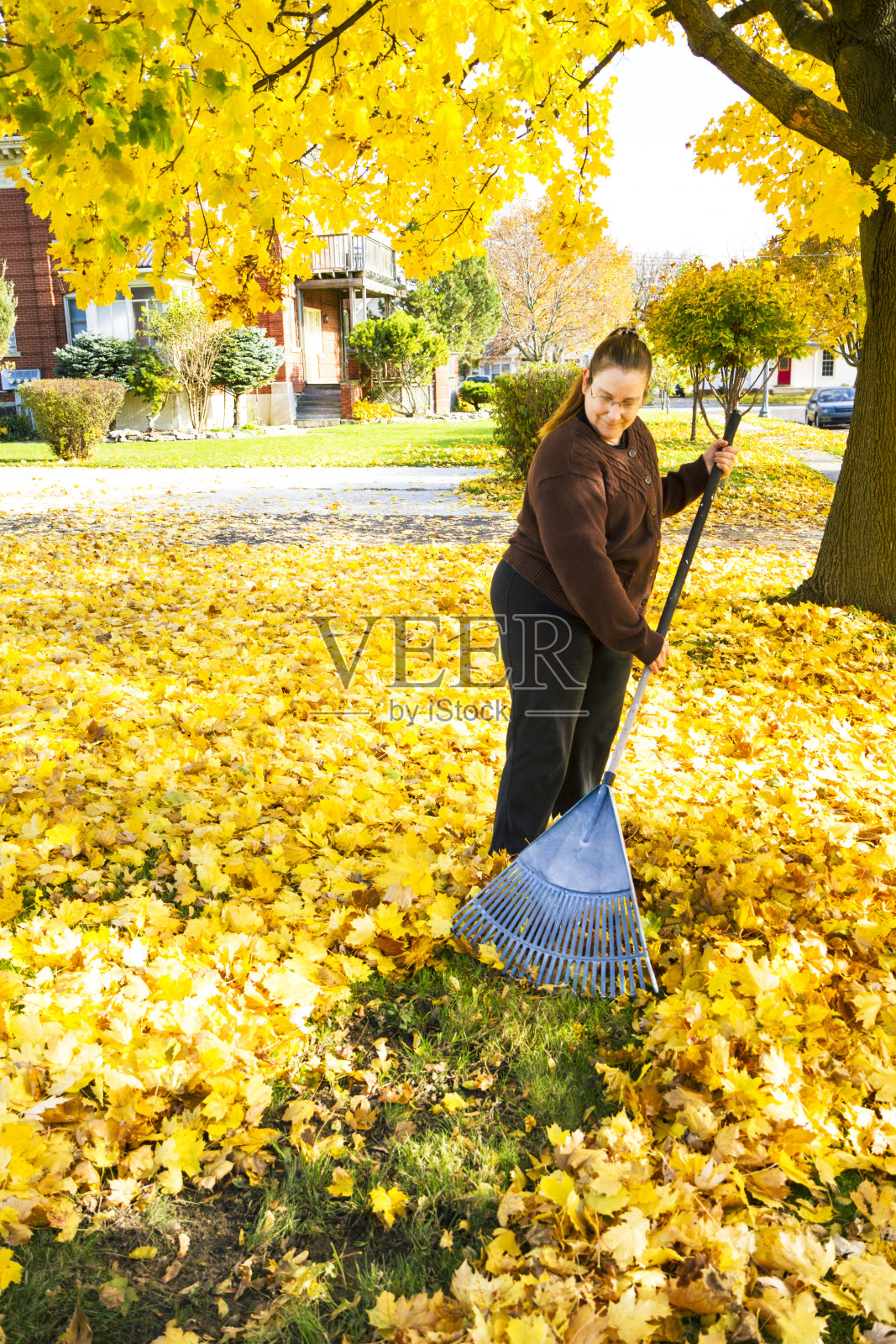 耙落叶的女人照片摄影图片