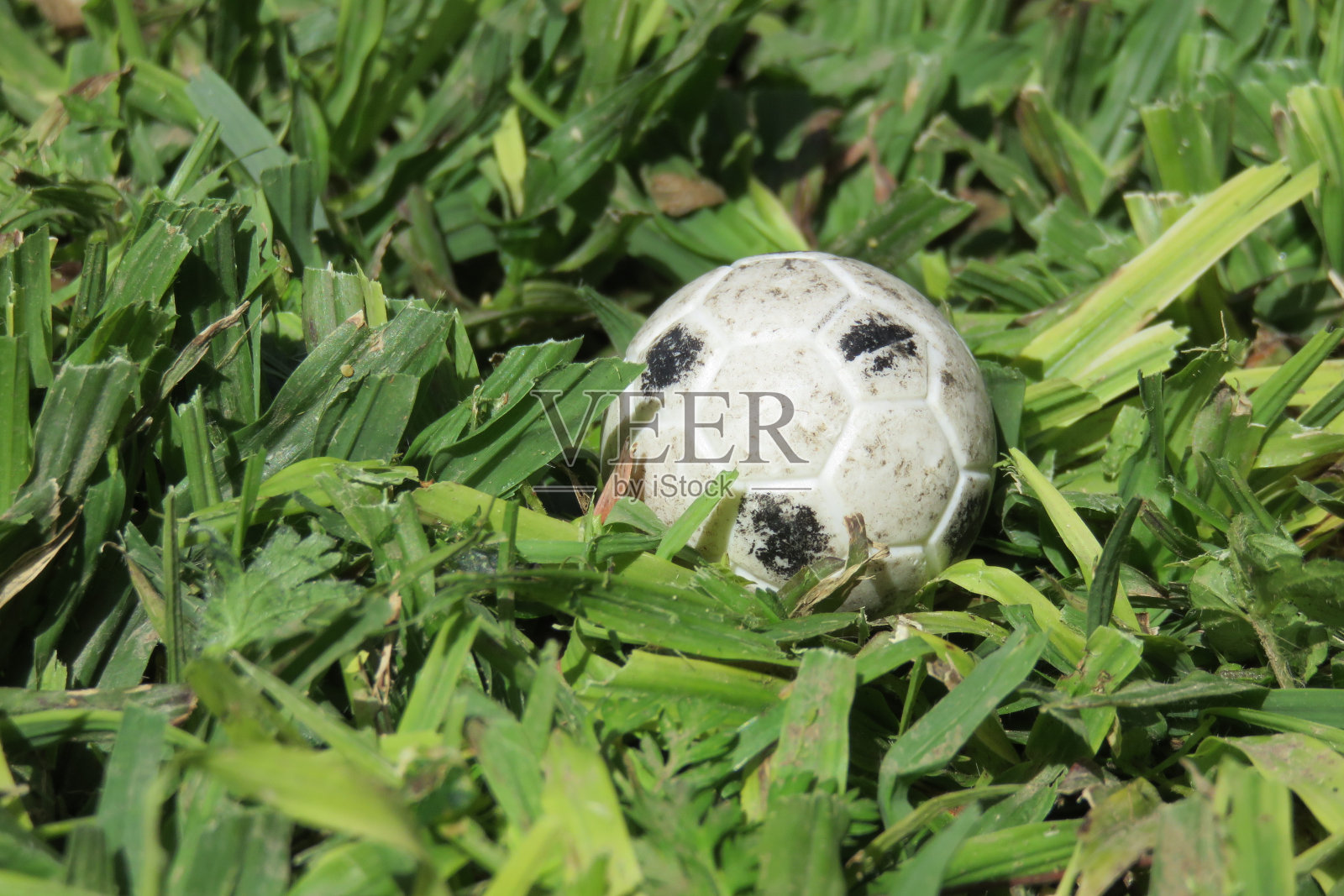 草地上的足球照片摄影图片