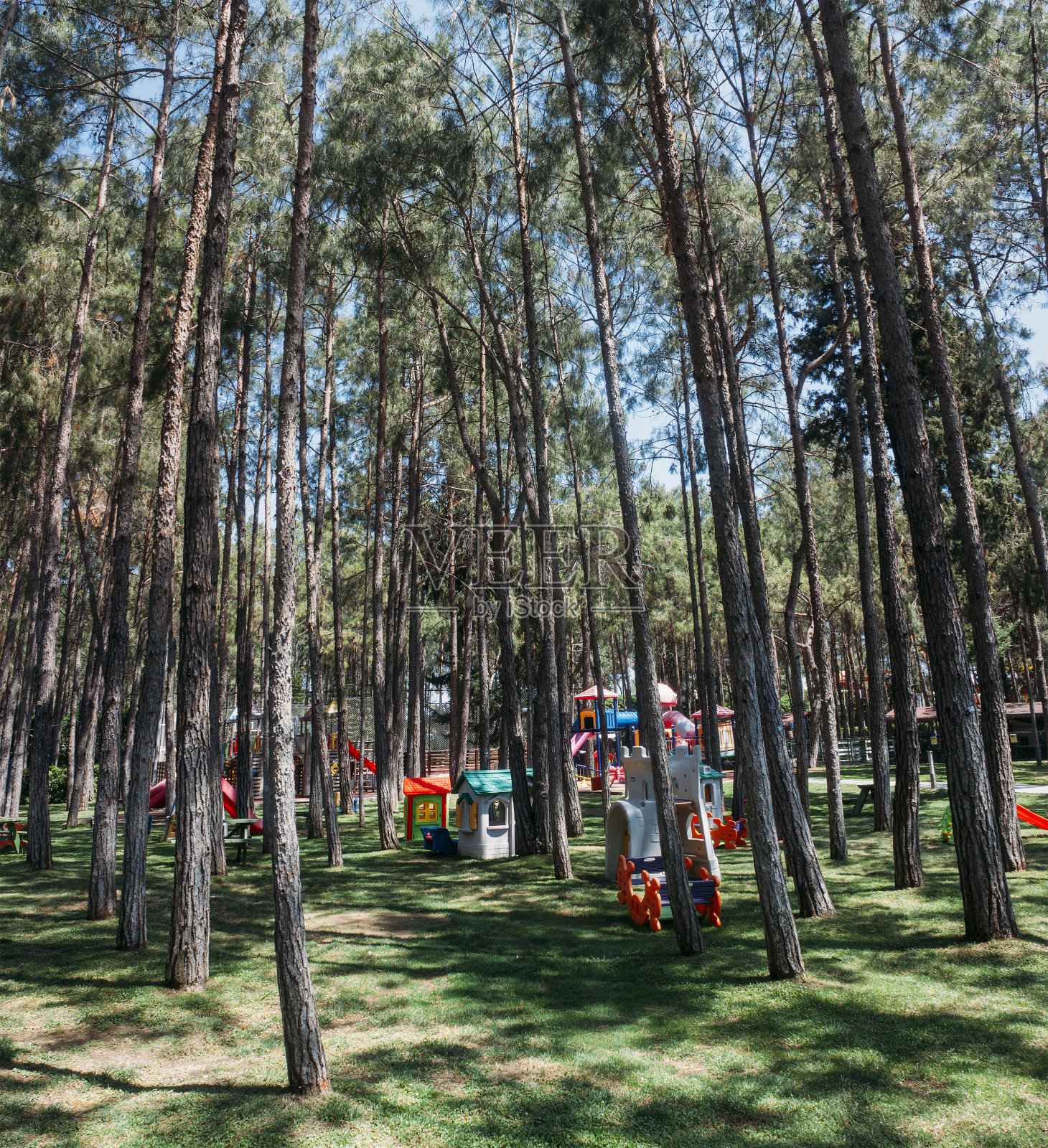 游乐场在森林,旅游旅游目的地照片摄影图片