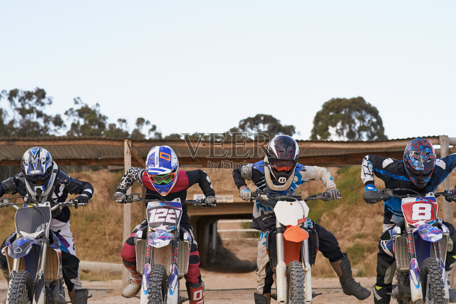 他们了!照片摄影图片