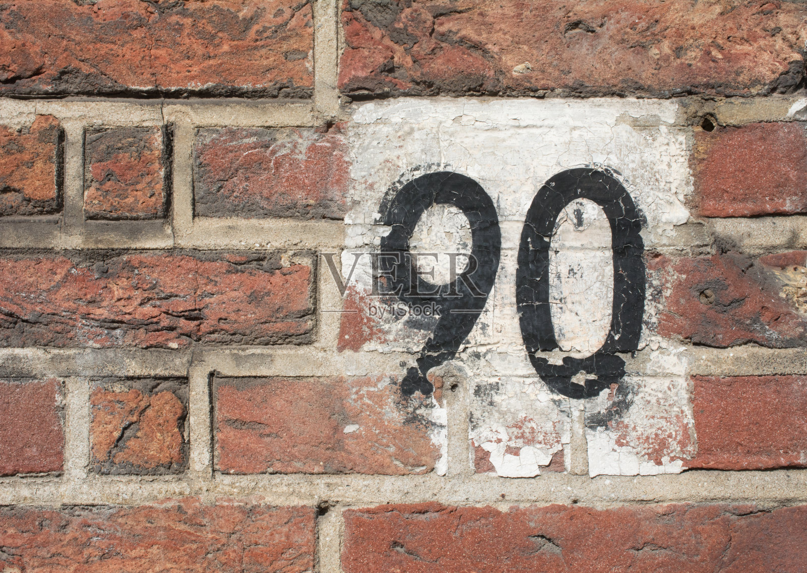 90号照片摄影图片