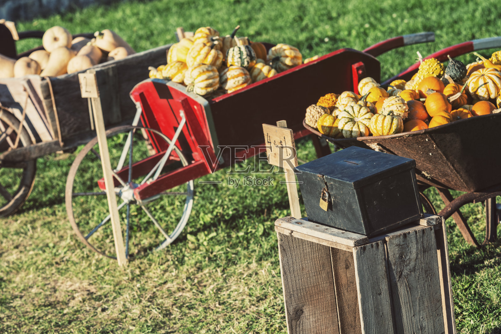 秋收待售照片摄影图片