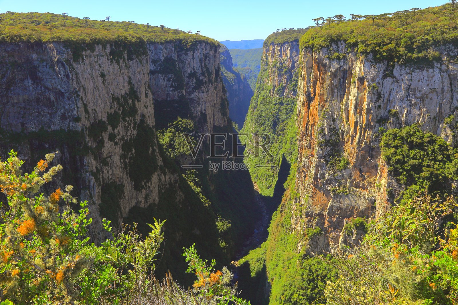 Itaimbezinho峡谷位于巴西南部的大南照片摄影图片